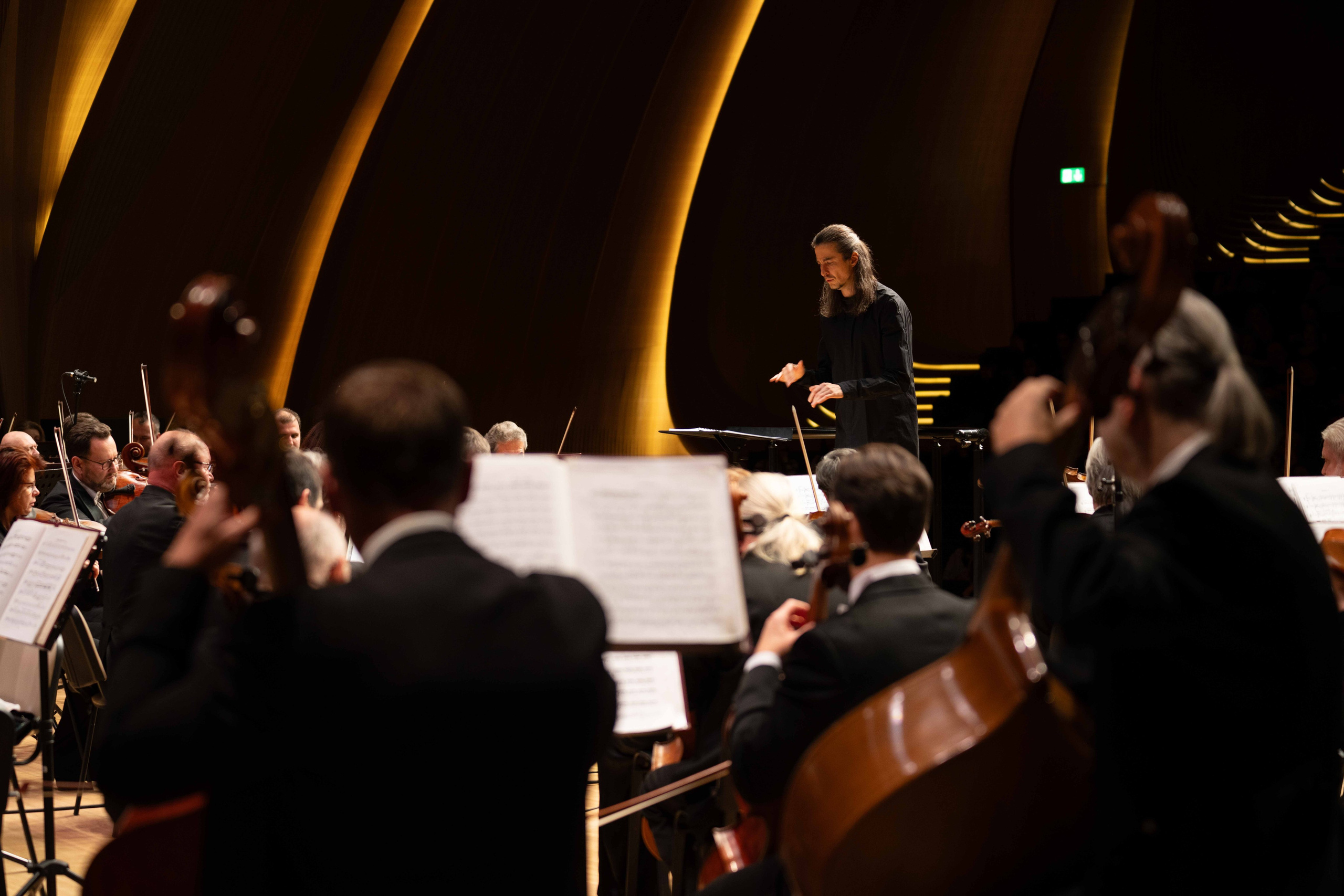 The Tchaikovsky Academic Grand Symphony Orchestra in Baku. Wedding&Event photographer Ismail Rzayev in Baku