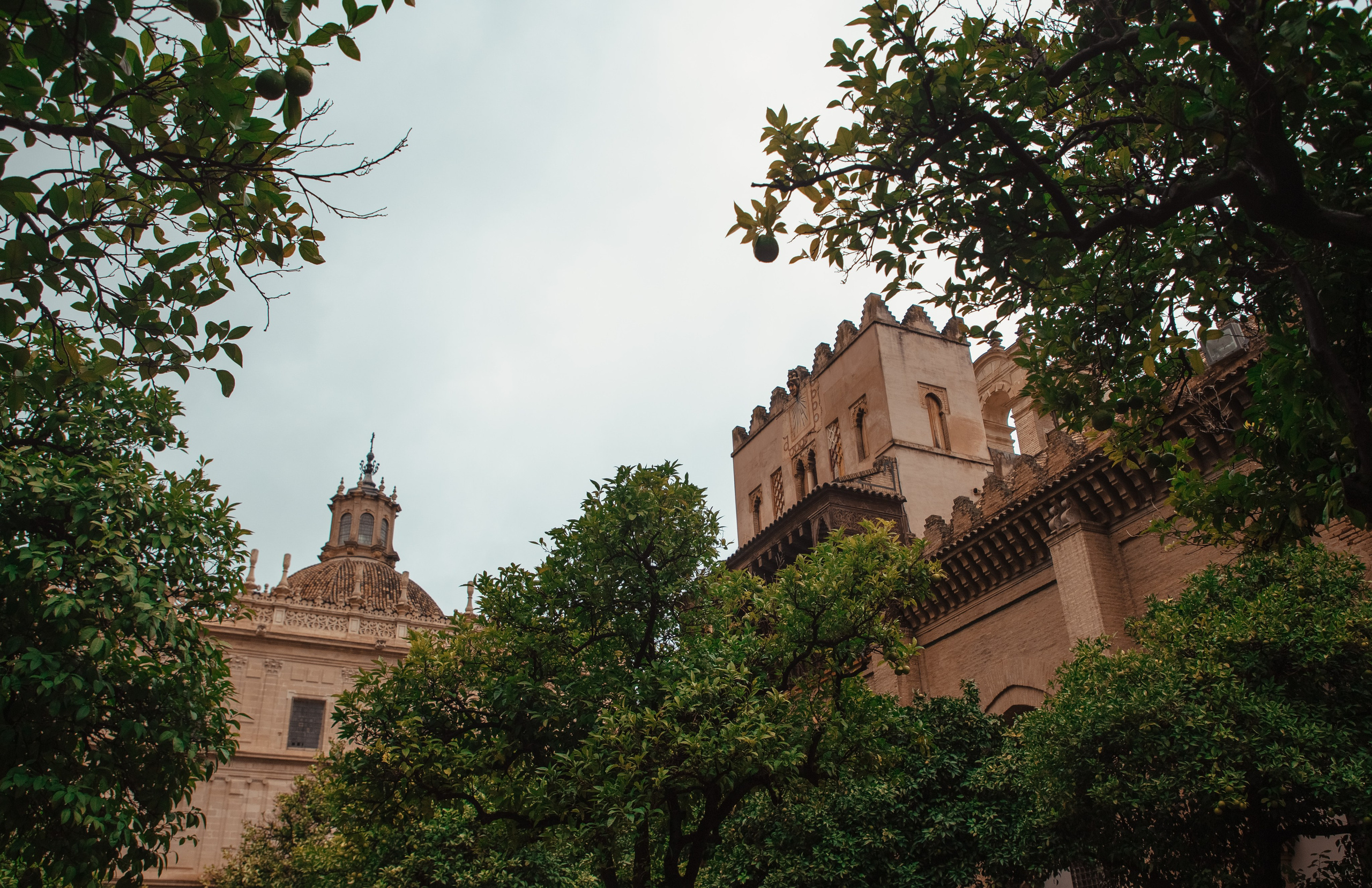 Travel & Street. Mario Jelikic Photography