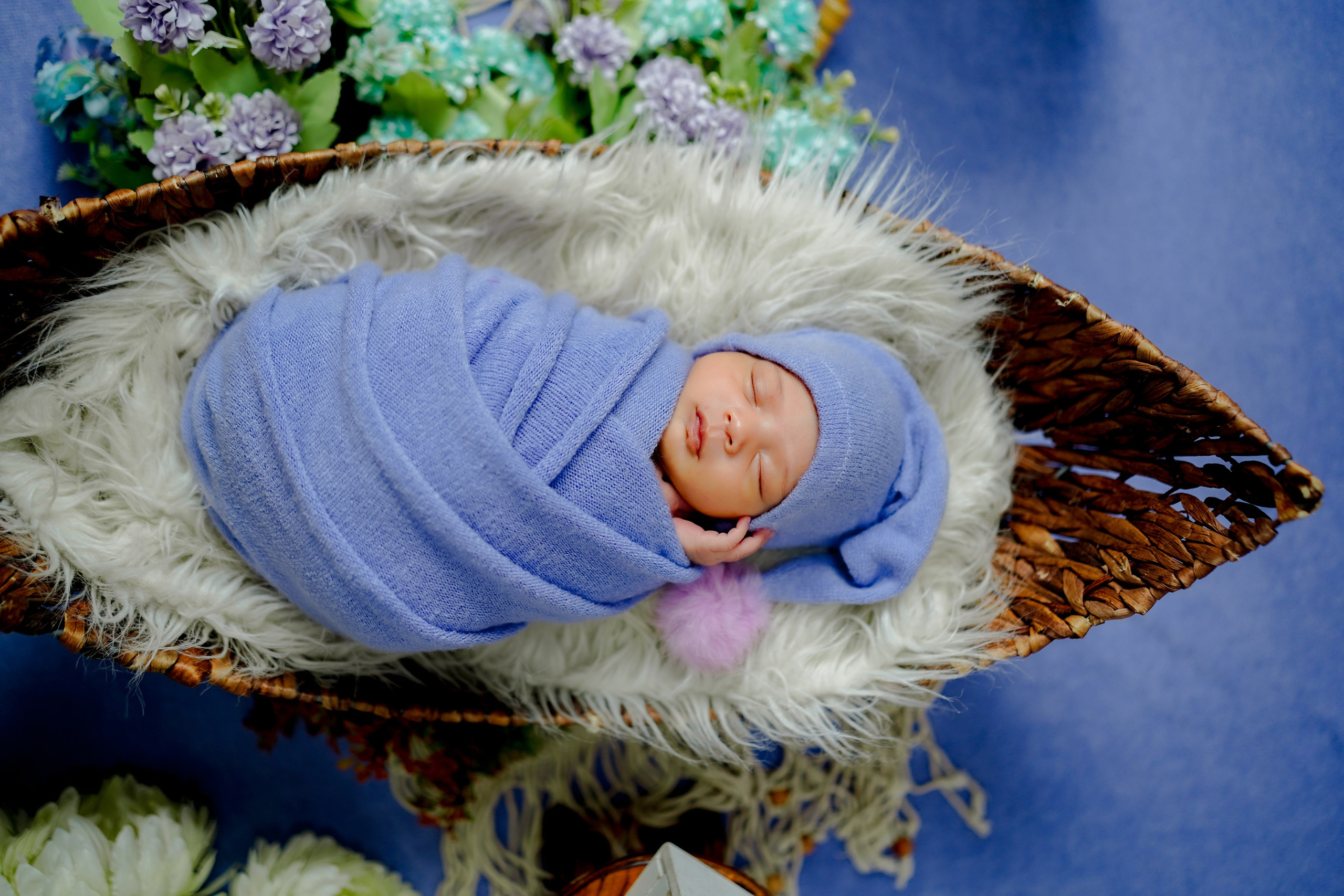 New born. TNF photo & filming