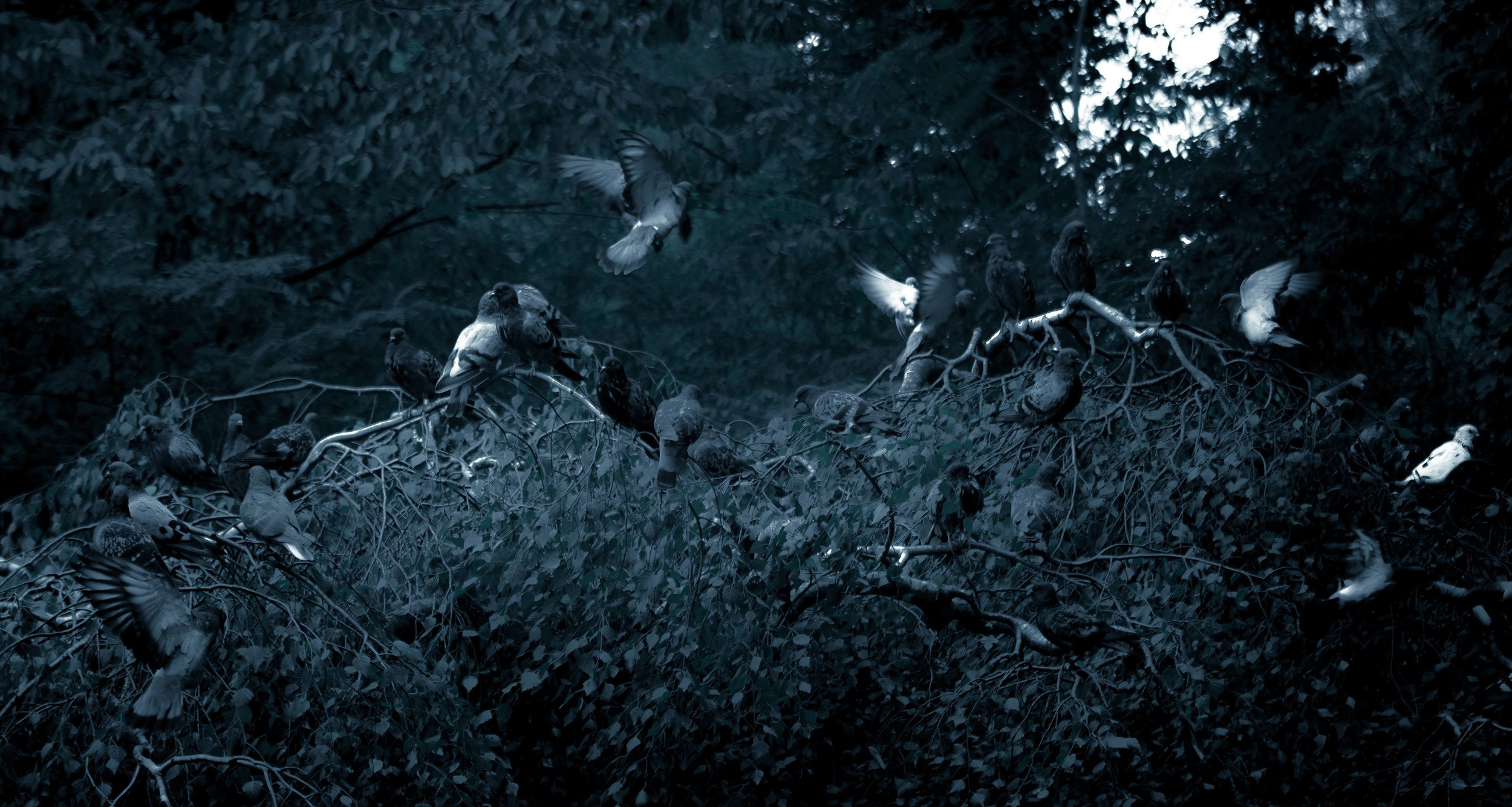 wildlife photography by mkn visual all around the world