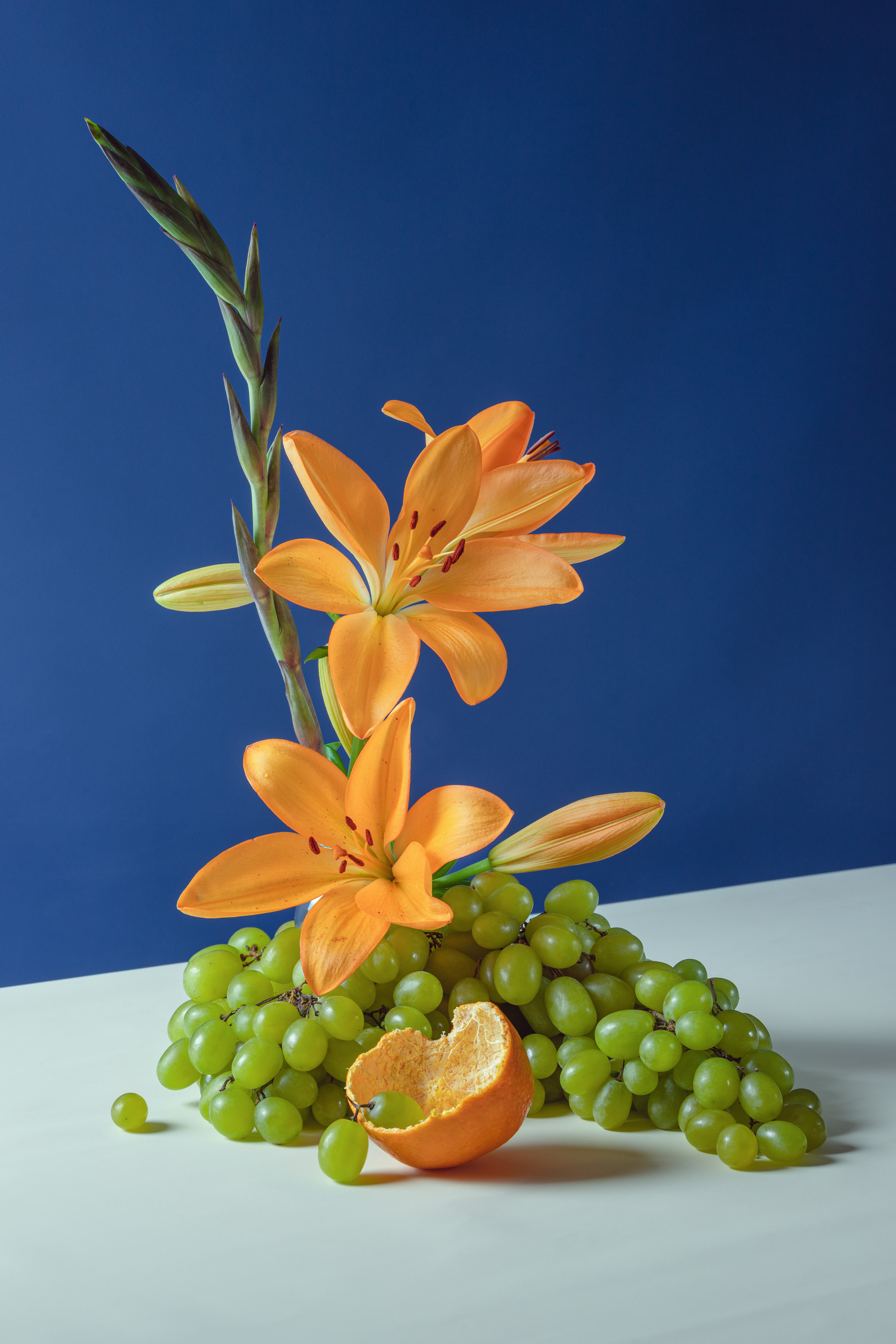 Marina Tsaregorodtseva Fine Art photographer, London