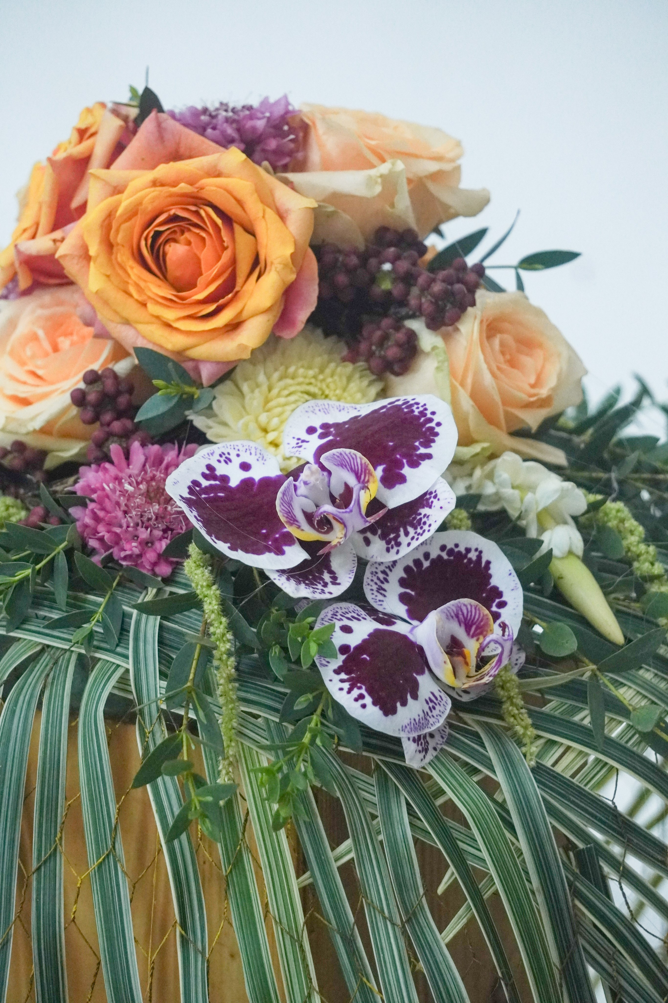 IPBI Surabaya — Product Shoot. Aro Salaka Event Photography