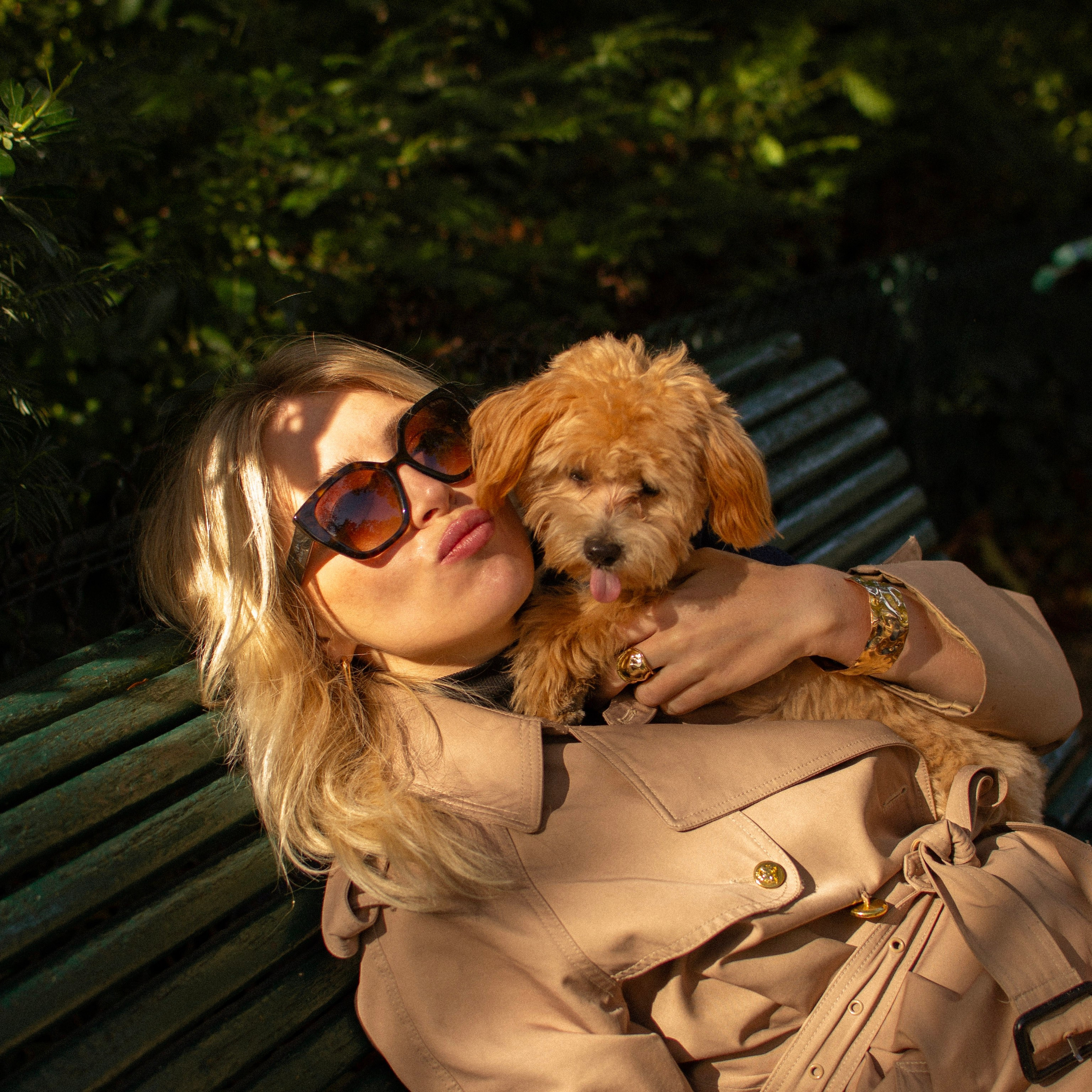 Barney, Nastya et Kolya. Photographe animalier à Paris Anna Pereira