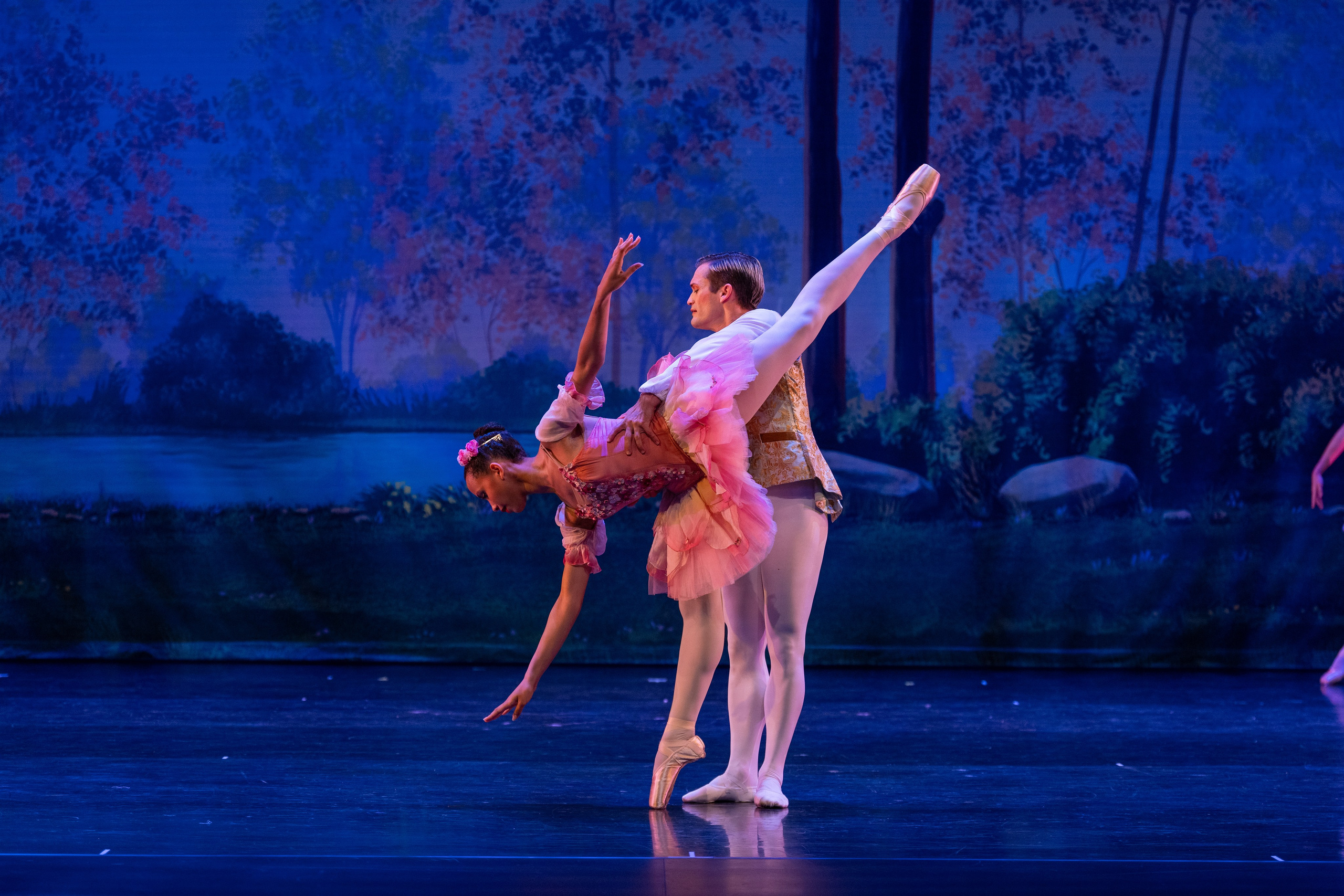 Ballet Photographer. Santa Clarita Photographer