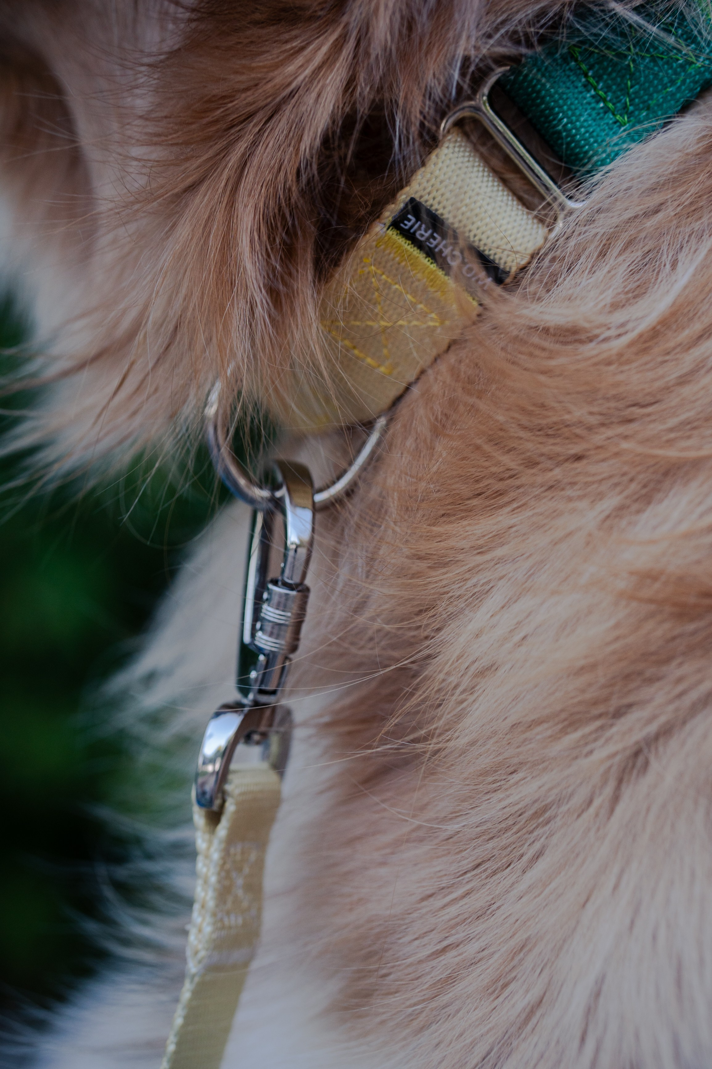 Wo.cherie. Lisbon Event Photographer