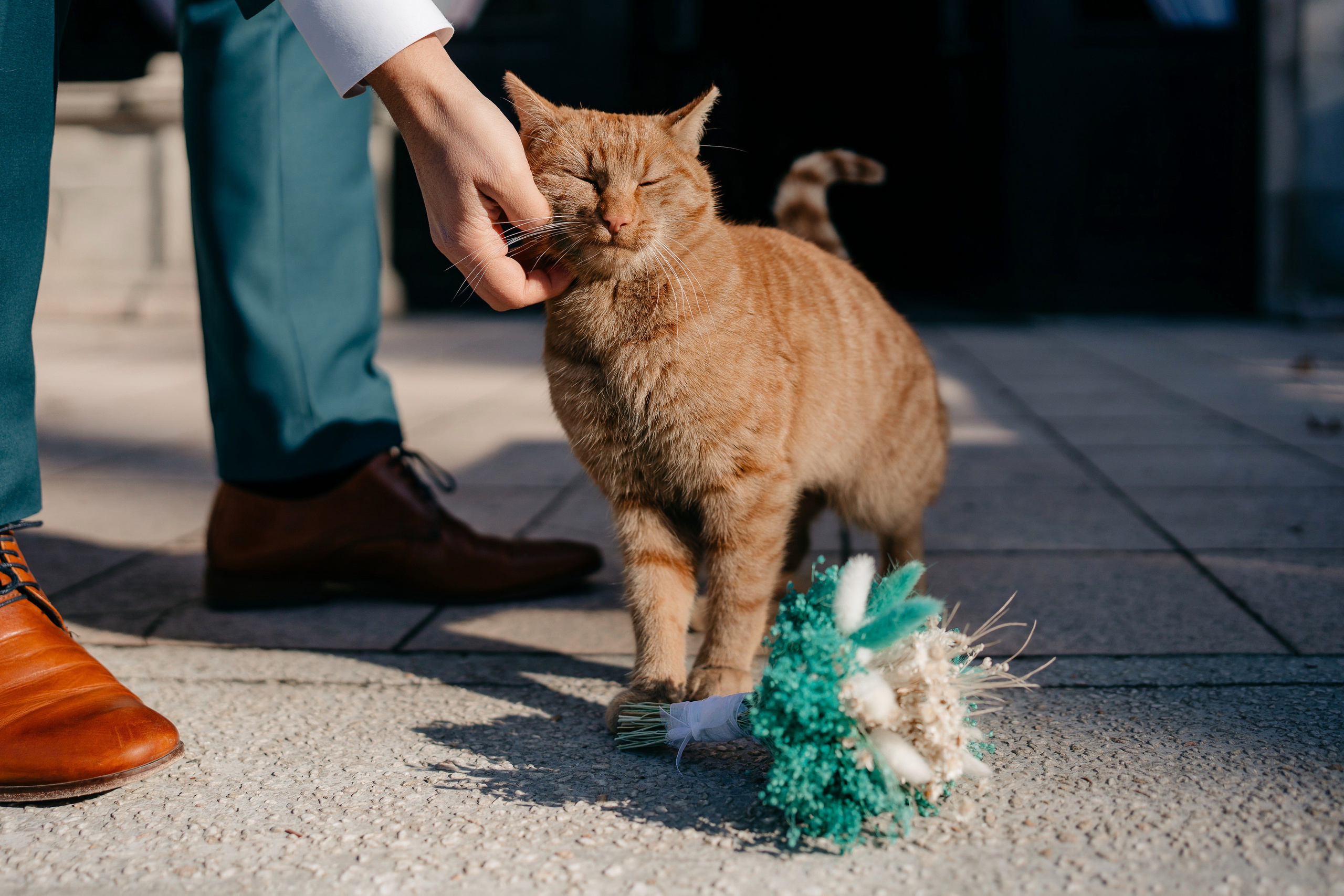 Sedinta Foto la Castelul Ghika. Raw Studio. Fotograful tau de nunta!