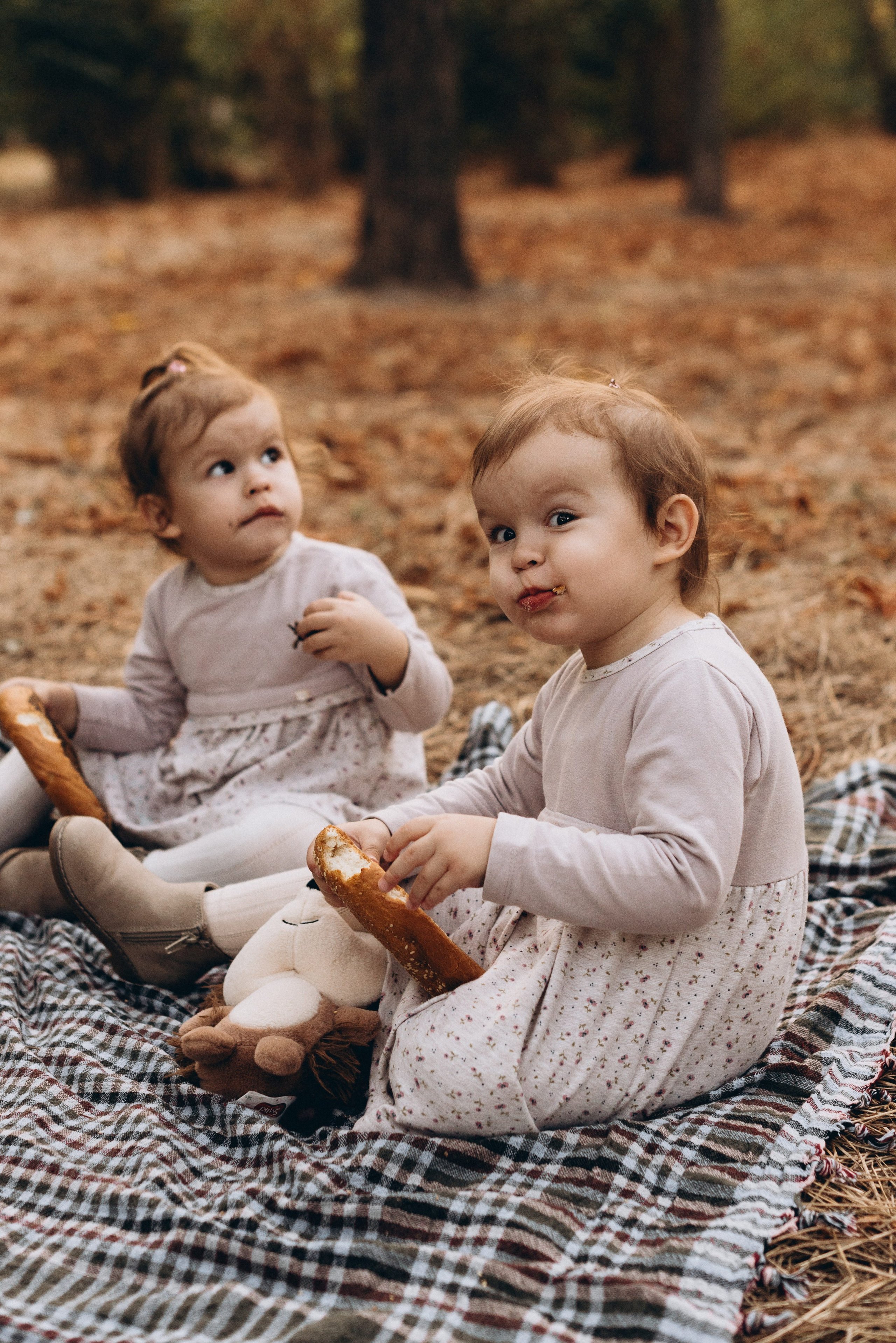 *. Wedding and family photographer San Diego