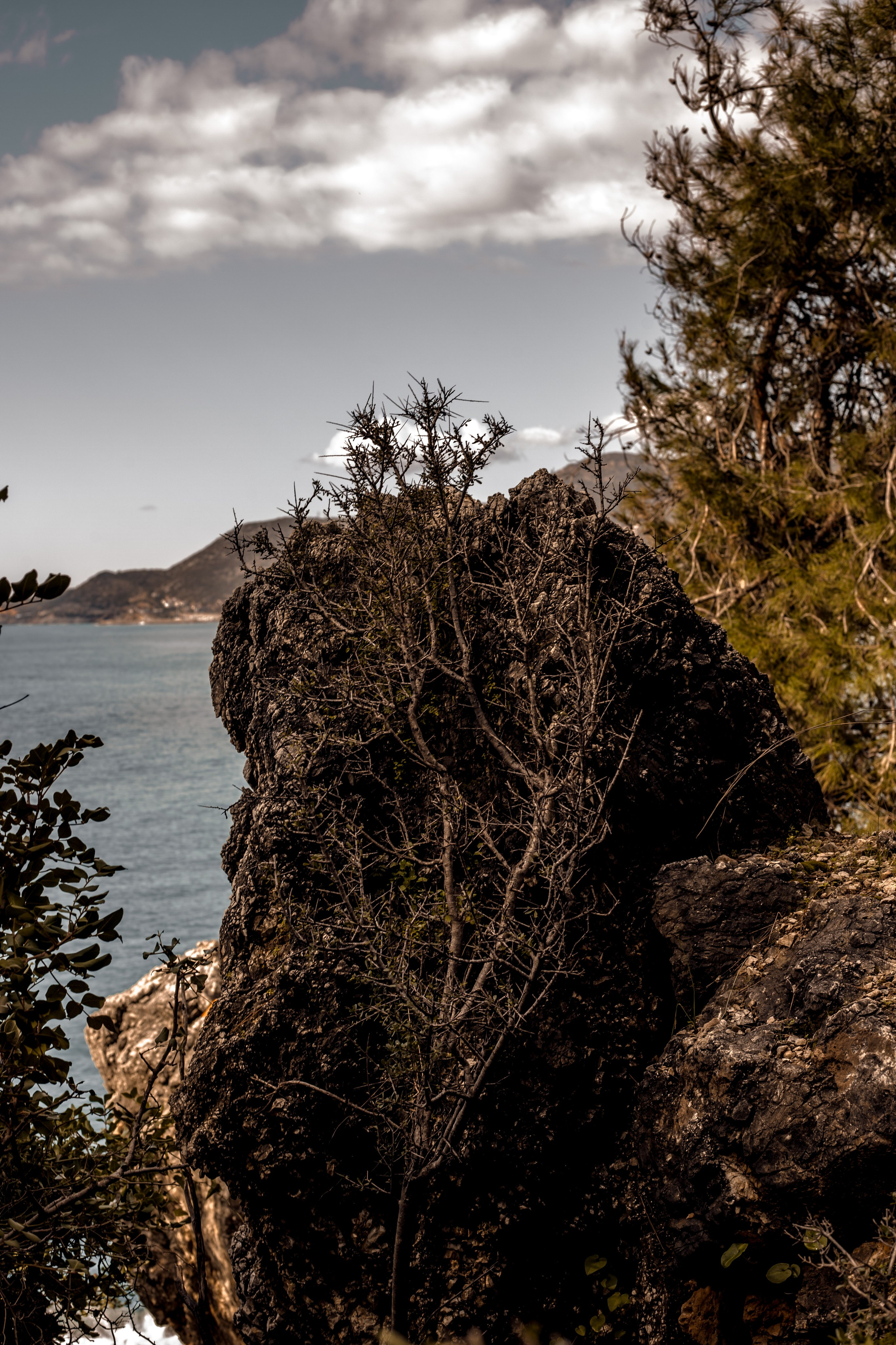 Turkey, Alanya. Art Photographer