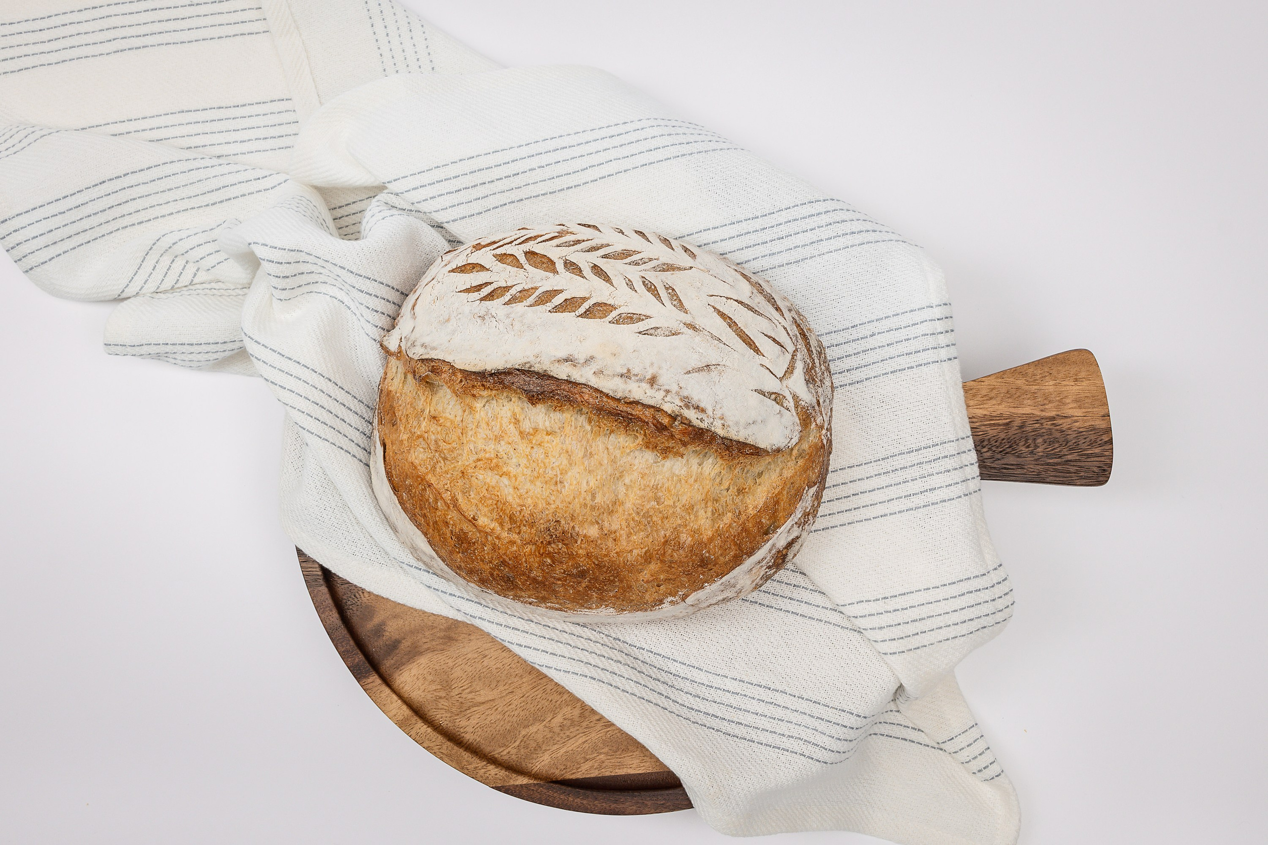 Vignoble et Domaine Beauchemin / Edition January 2025