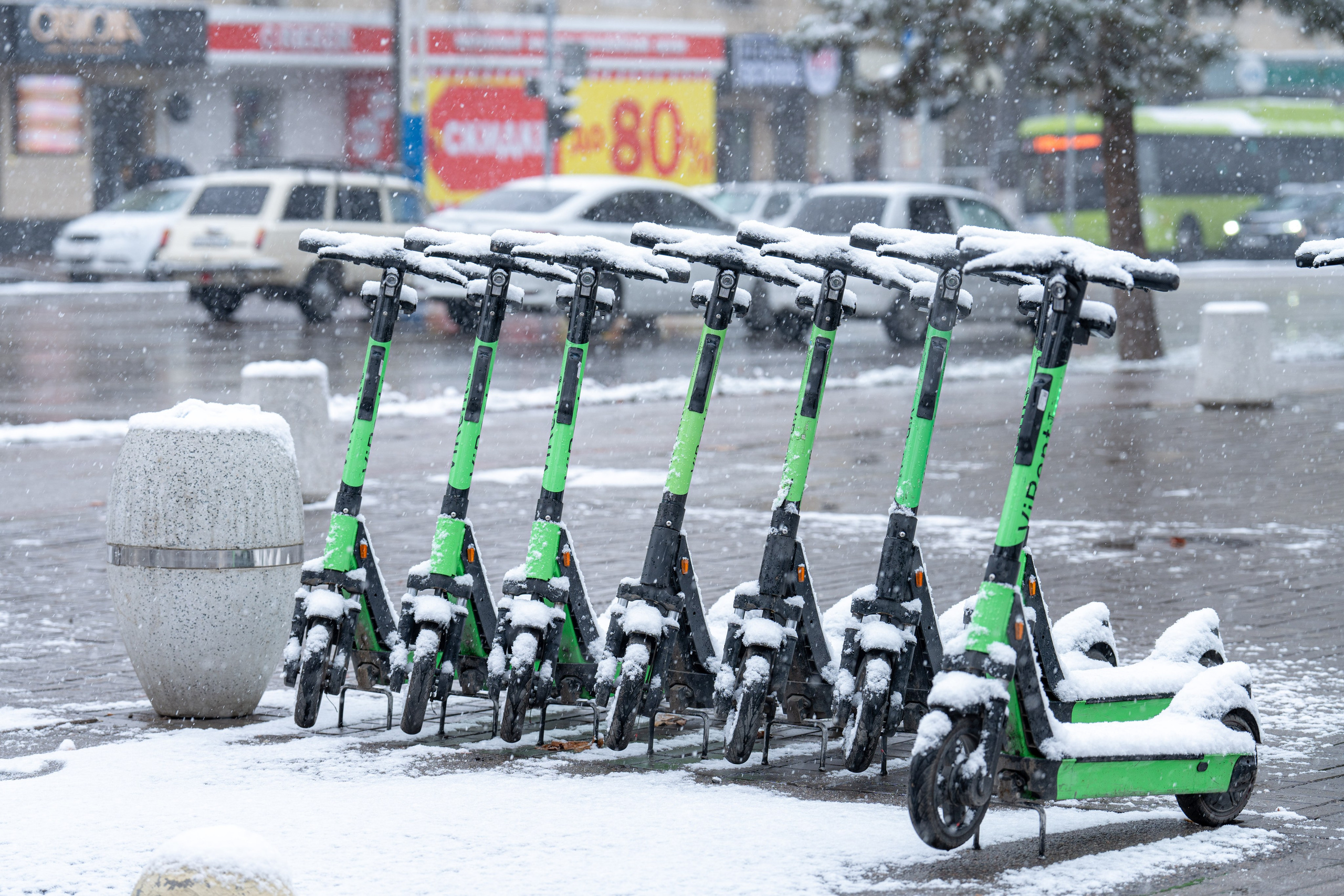 Первый снег в 2024 году. Георгий Намазов | Фотограф в Ташкенте