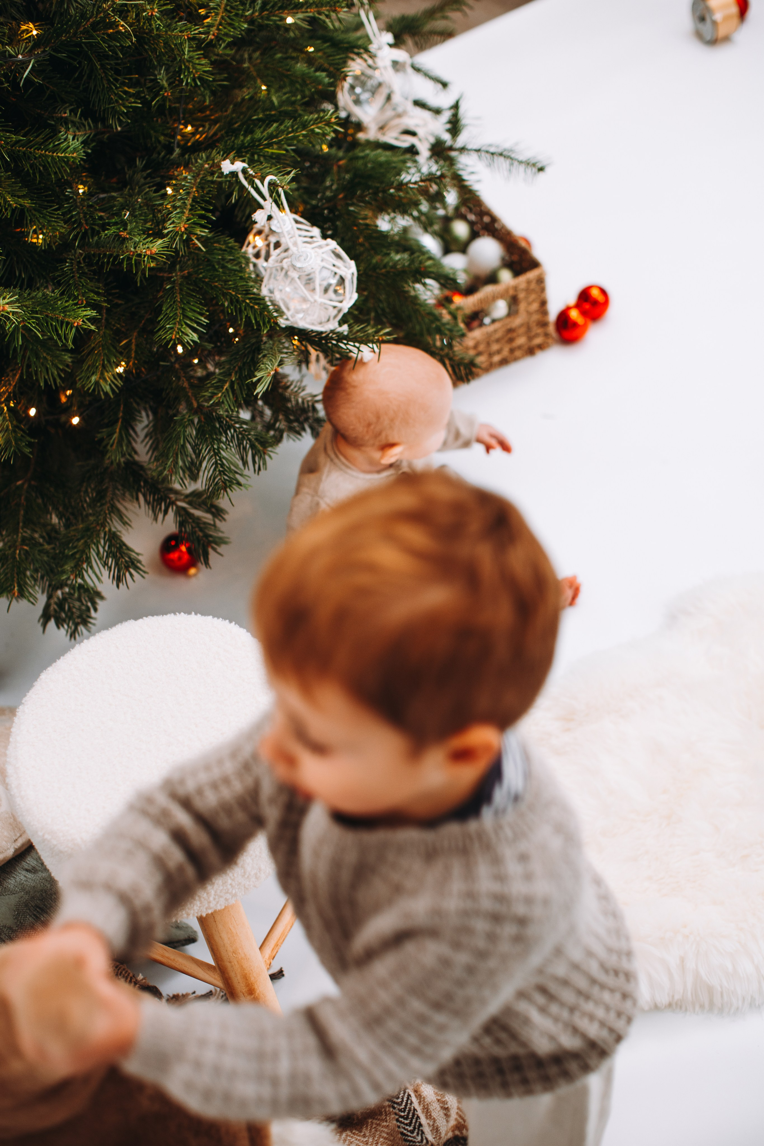 Weihnachtsshooting. Dienstleistungen