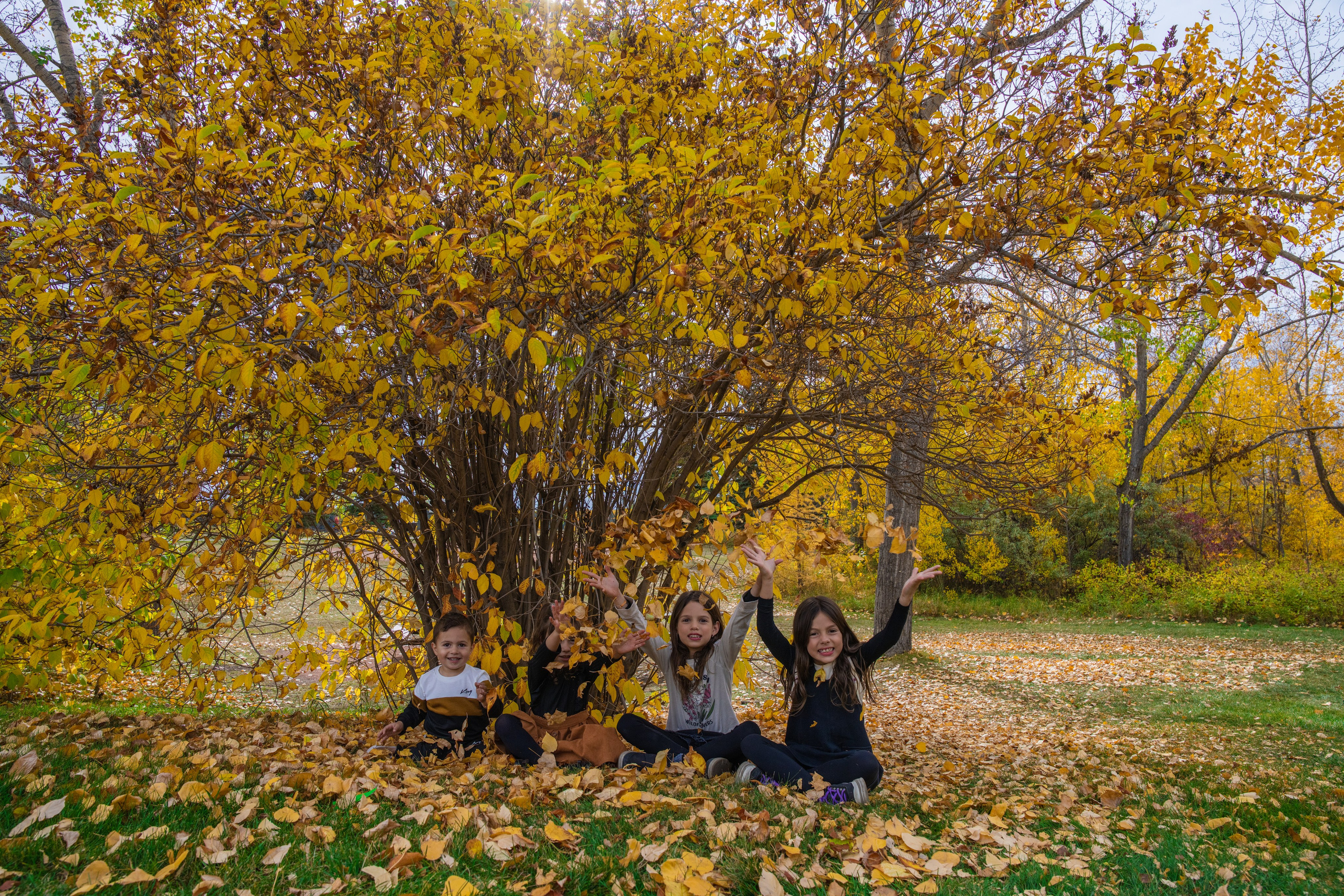 Ariana’s Family. Carlos Lima Photography — Photographer in Calgary