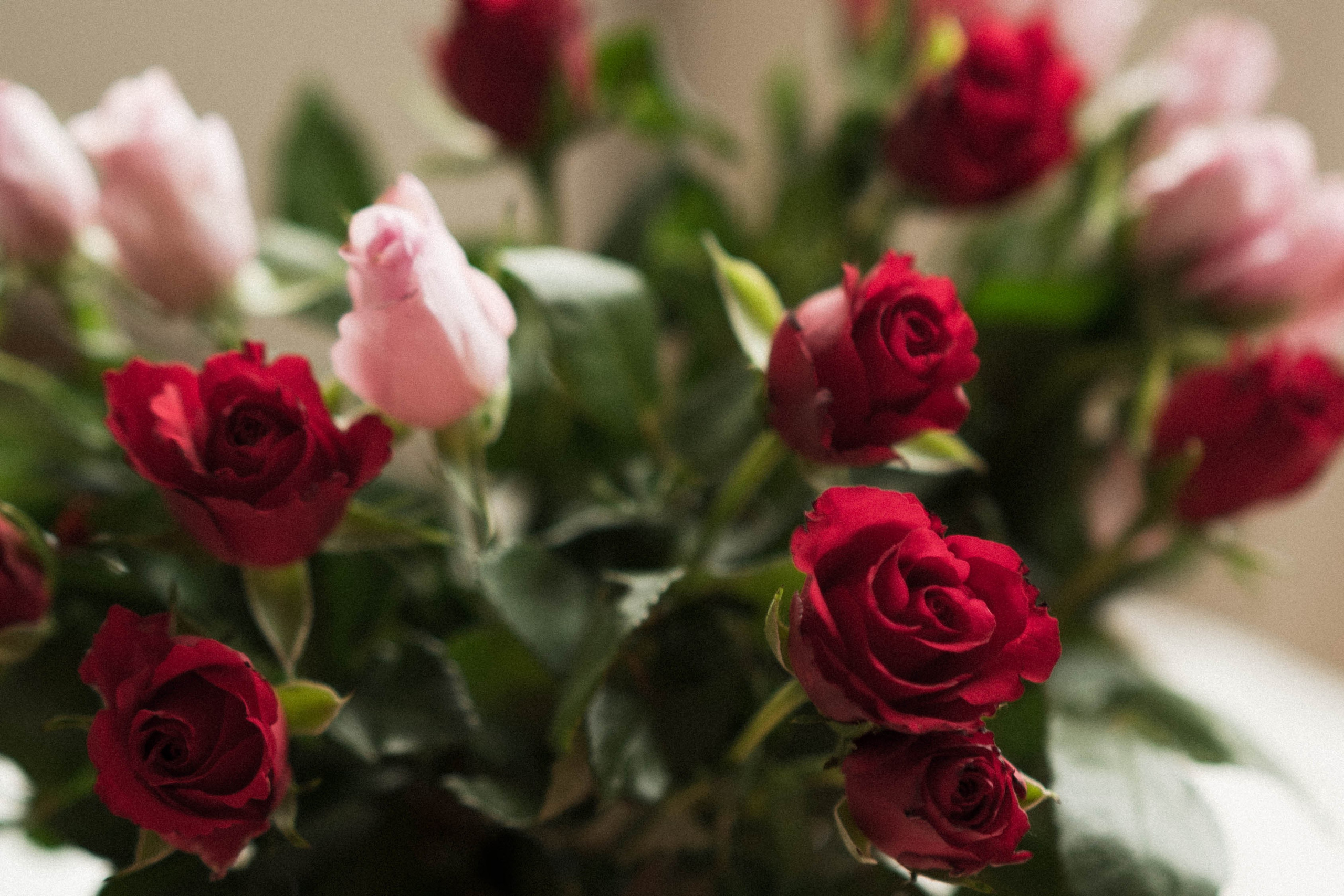 Tytti and Yusus. Lifestyle photographer Turku. I catch emotions in the frame