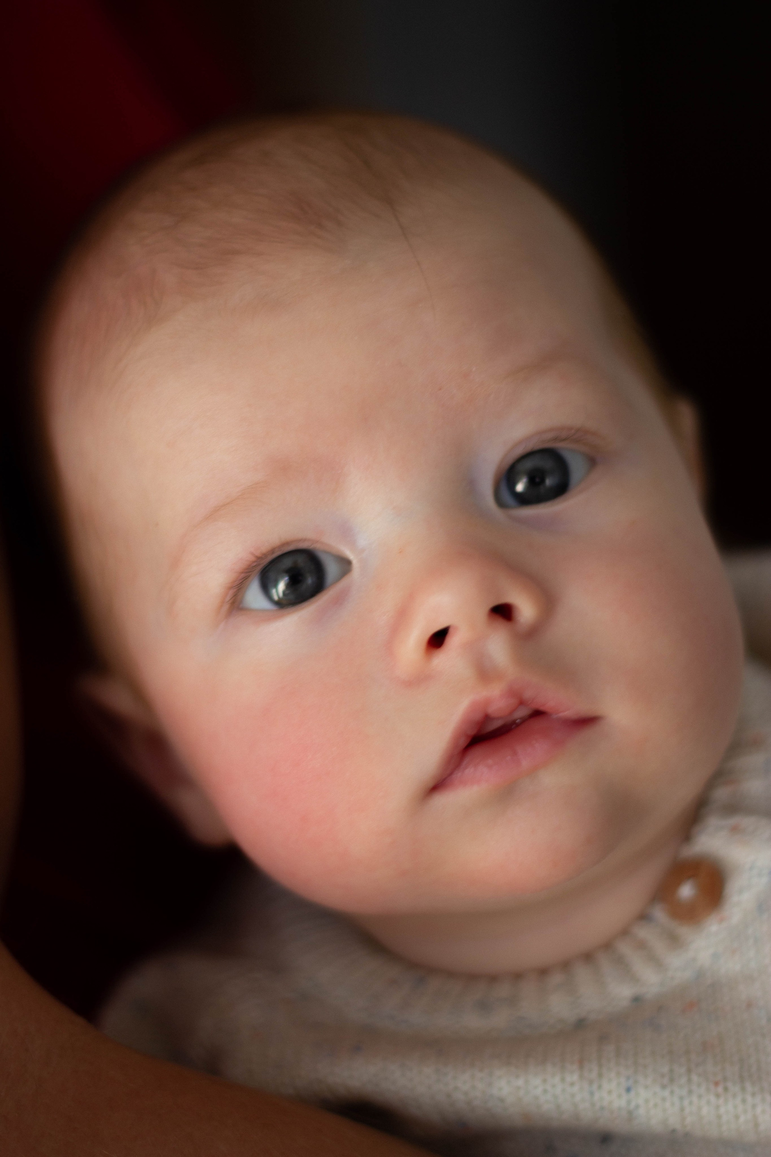 Newborn. Familien- und Kinderfotografin Katerina Vlasenko, München