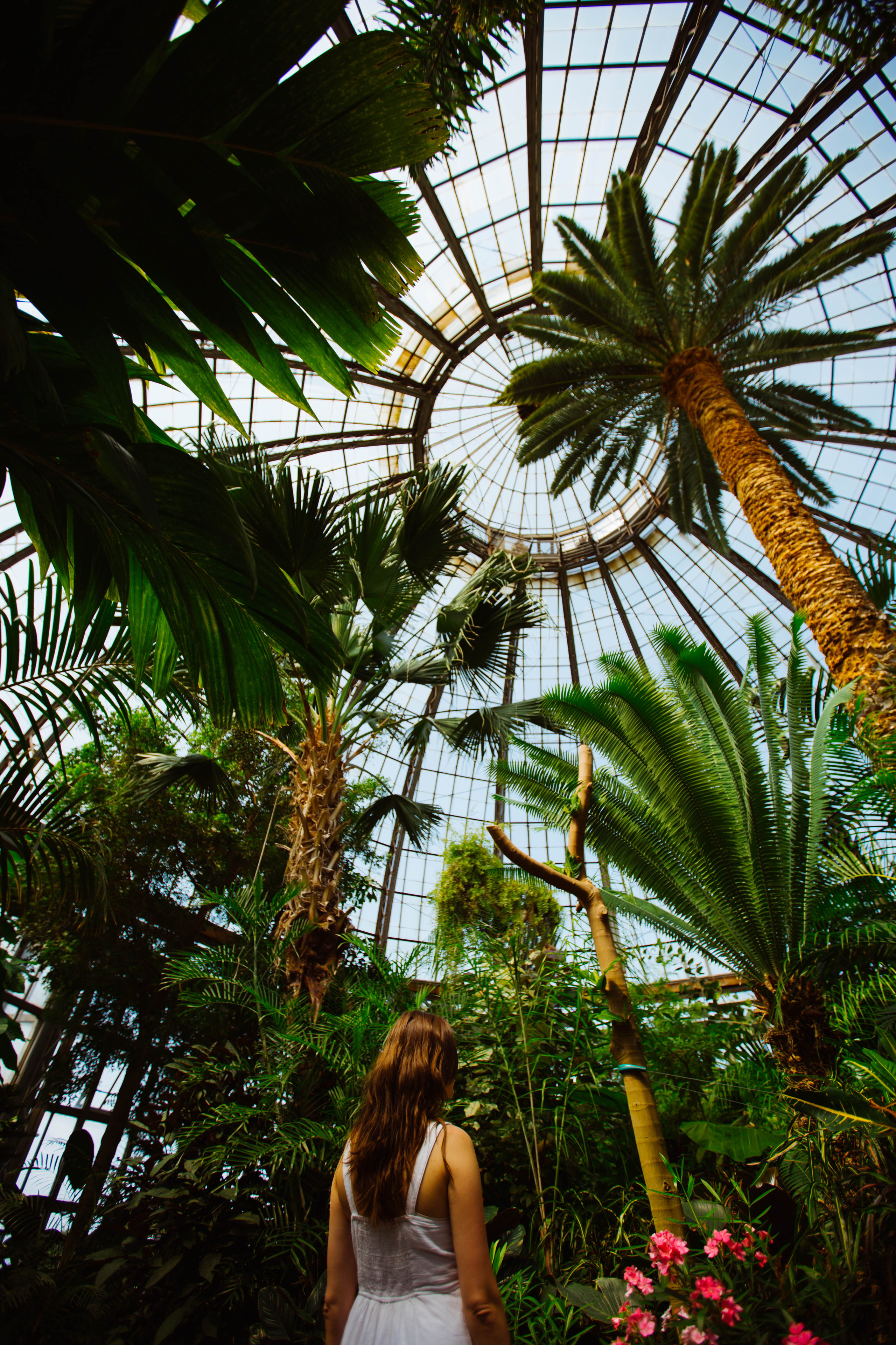 Portfolio. Detroit Family and Lifestyle Photographer — Albina Littles