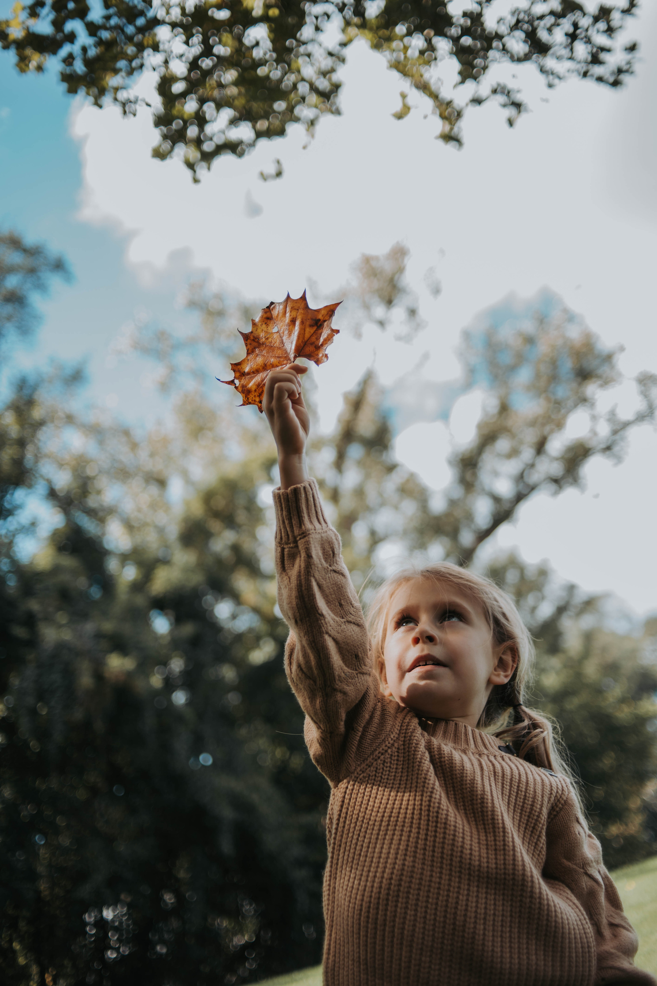 Portfolio. Detroit Family and Lifestyle Photographer — Albina Littles