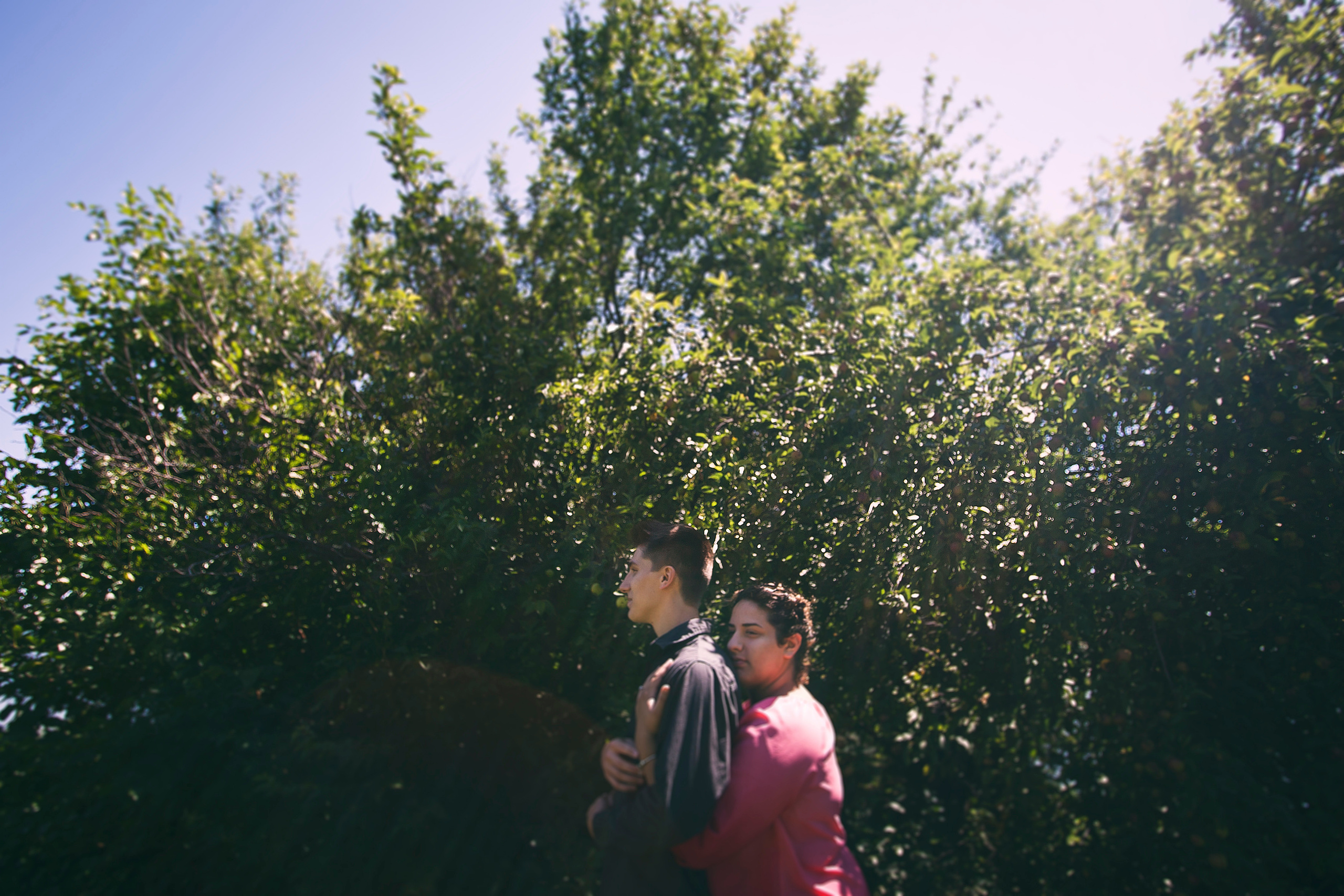 Portfolio. Detroit Family and Lifestyle Photographer — Albina Littles