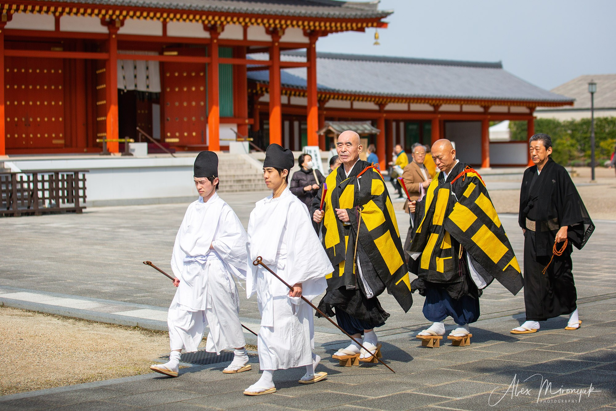 Hanami Season in Japan. Pet, Senior, Landscape, portrait studio, photographer in Miami and Sou