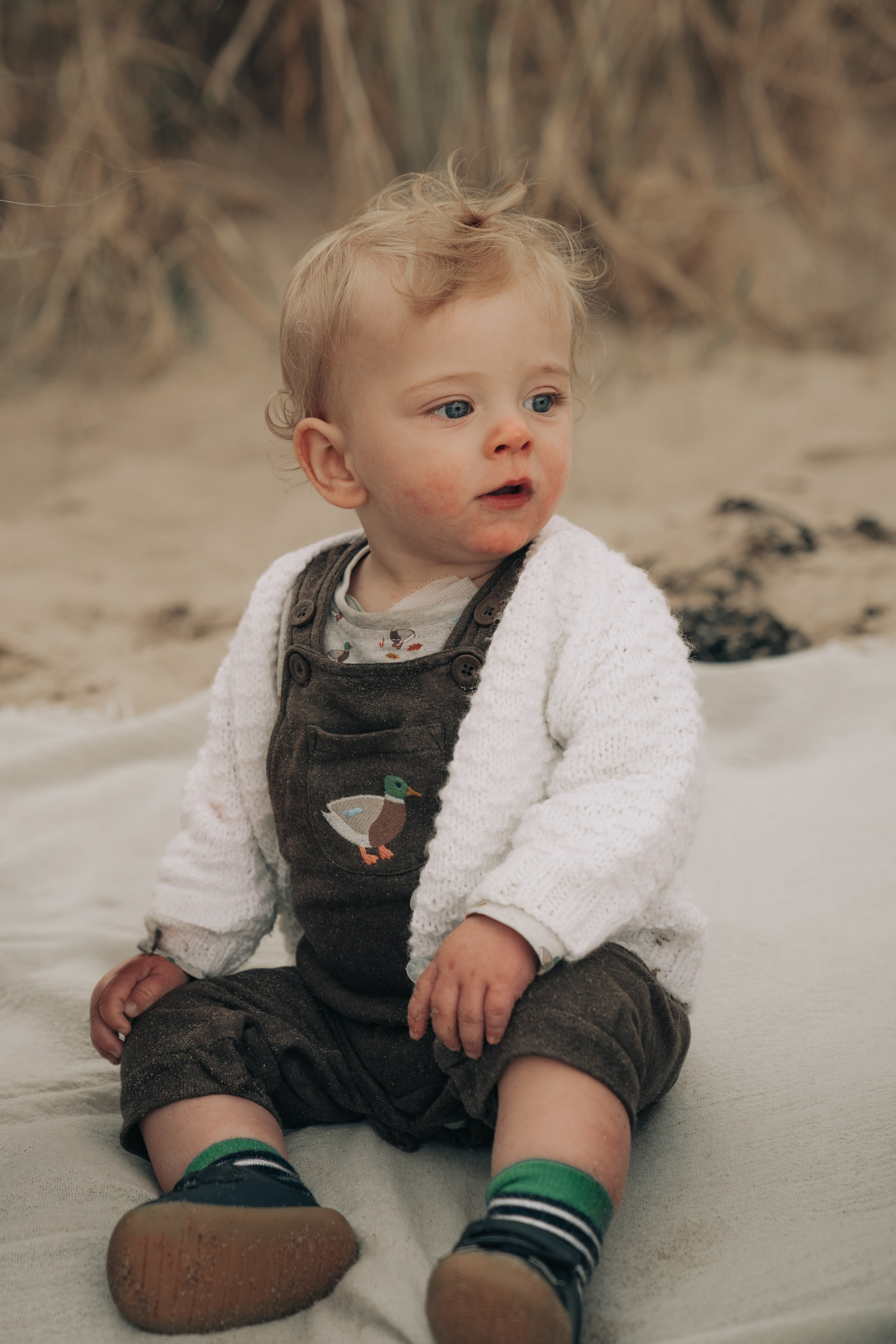 First birthday photo session.