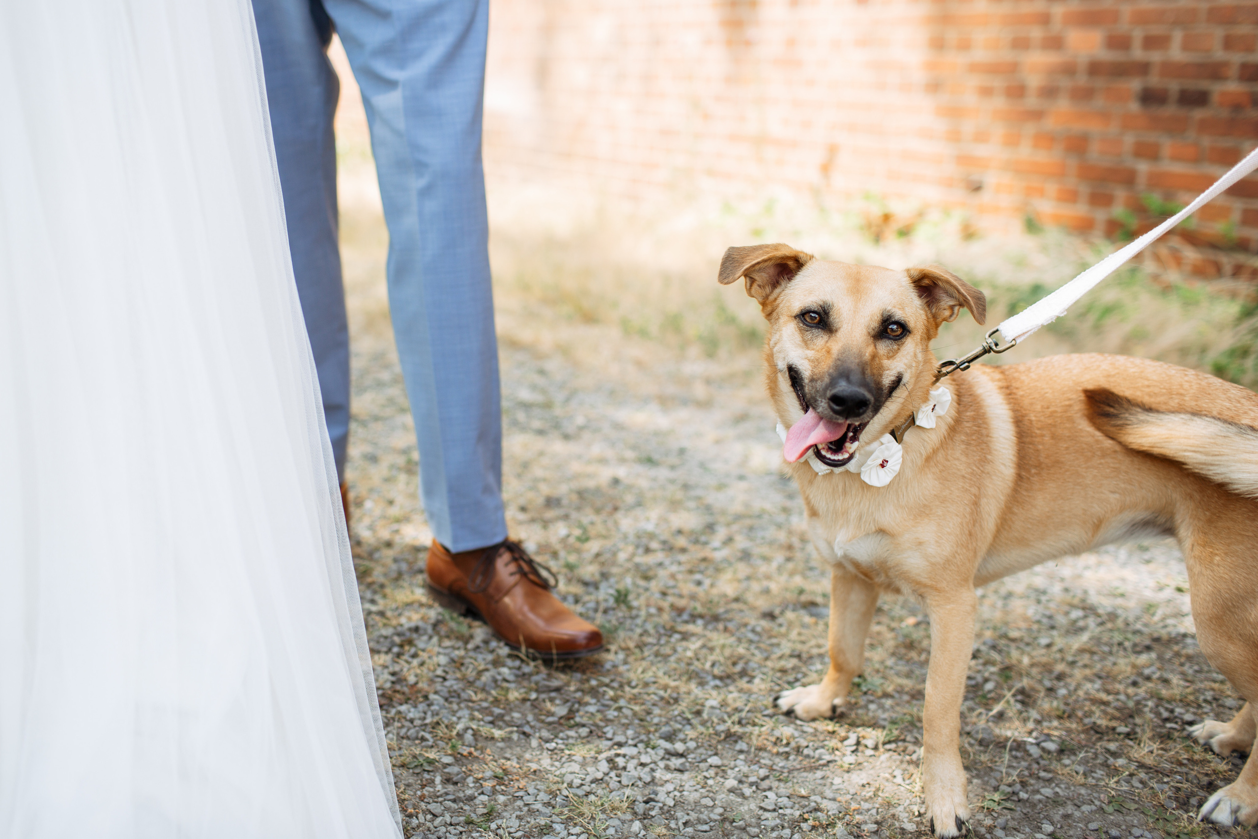 Anna - Lena &Tim. Photo & Make-up Galina Neuberger. Fotografin & Vigasistin aus Bohmte