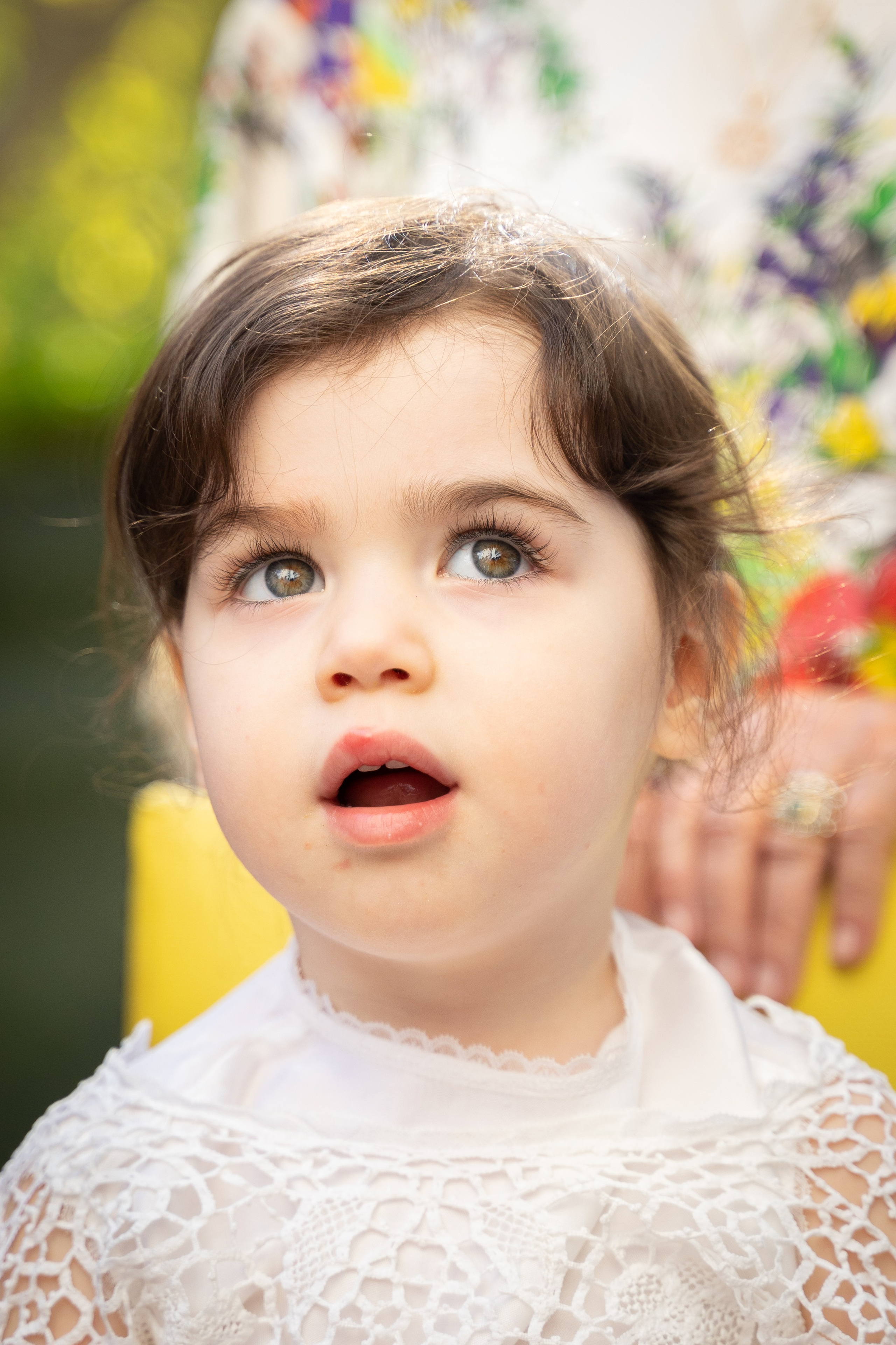 Families. Wedding and event photographer in guelph ontario canada Jessica Giovanni