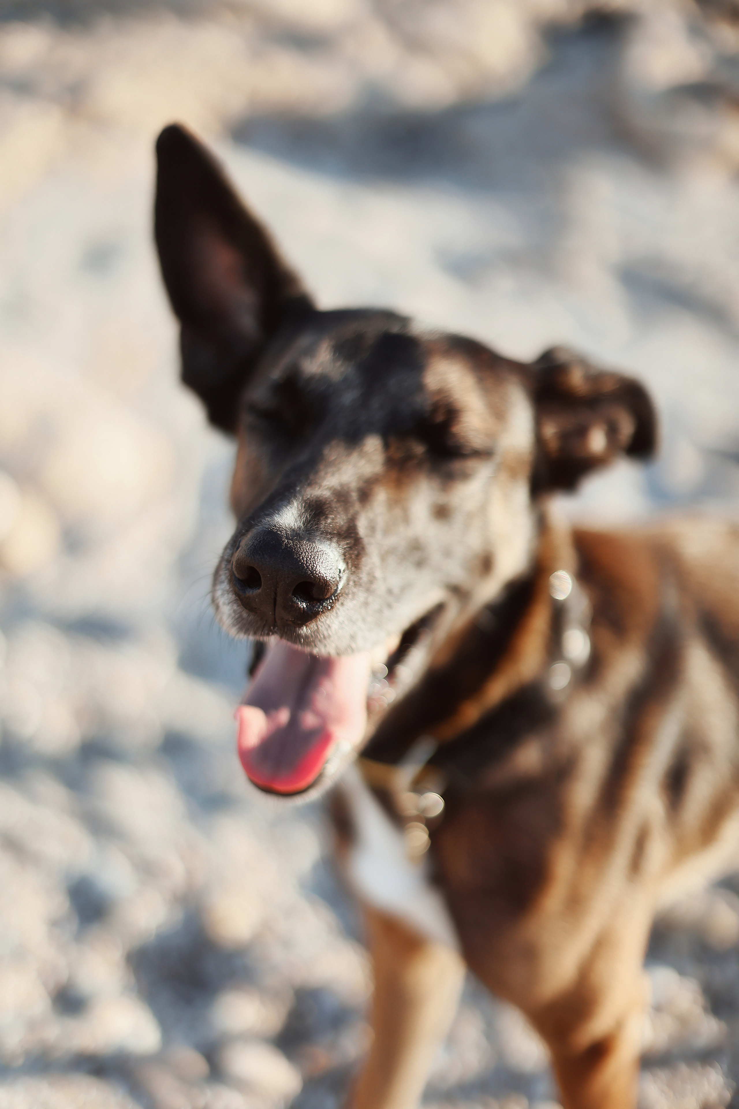 Photoshoot in Ayia Napa. October, 2022. Kipriotka. Ваш фотограф на Кипре (Айя-Напа, Протарас)