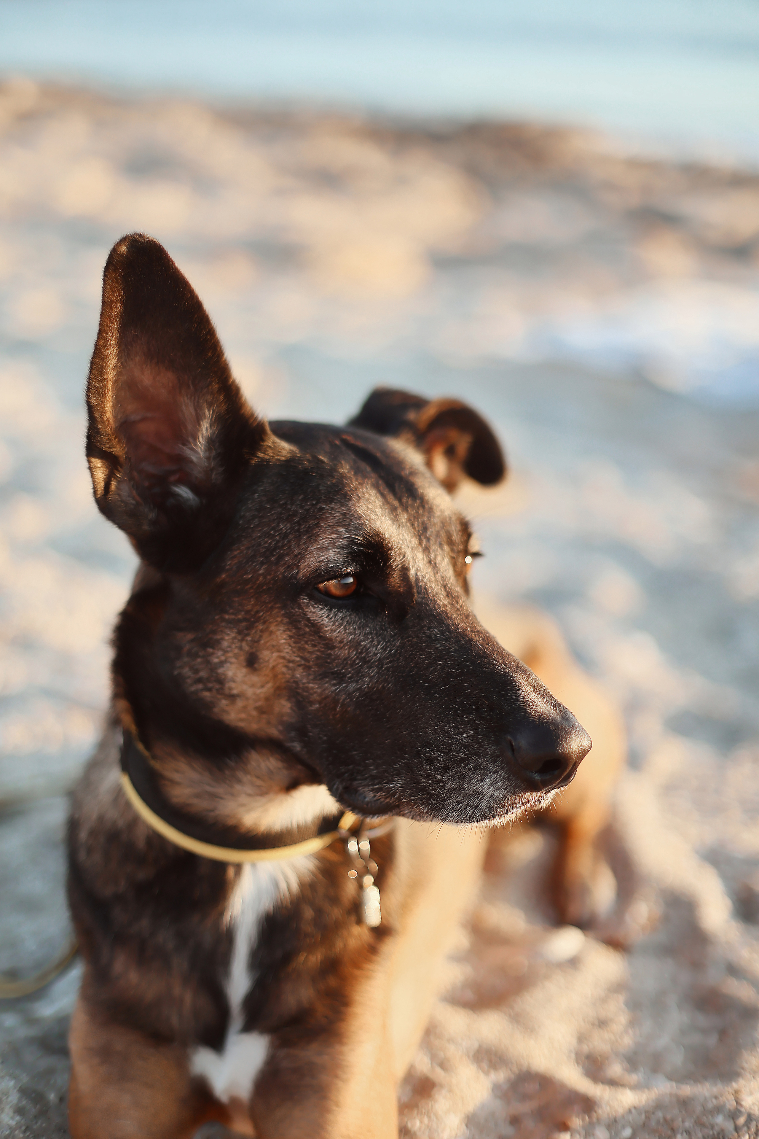 Photoshoot in Ayia Napa. October, 2022. Kipriotka. Ваш фотограф на Кипре (Айя-Напа, Протарас)