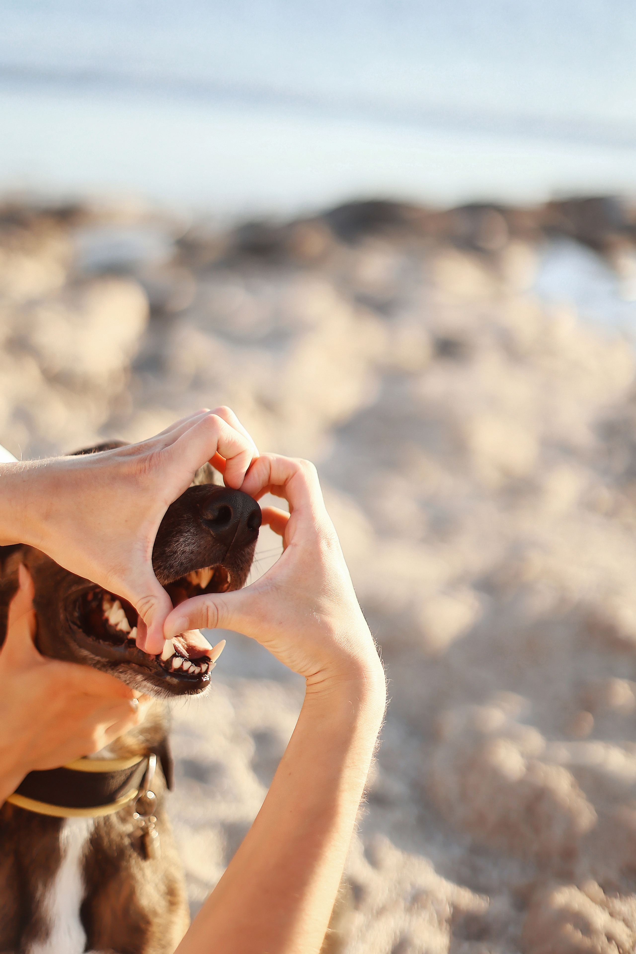Photoshoot in Ayia Napa. October, 2022. Kipriotka. Ваш фотограф на Кипре (Айя-Напа, Протарас)