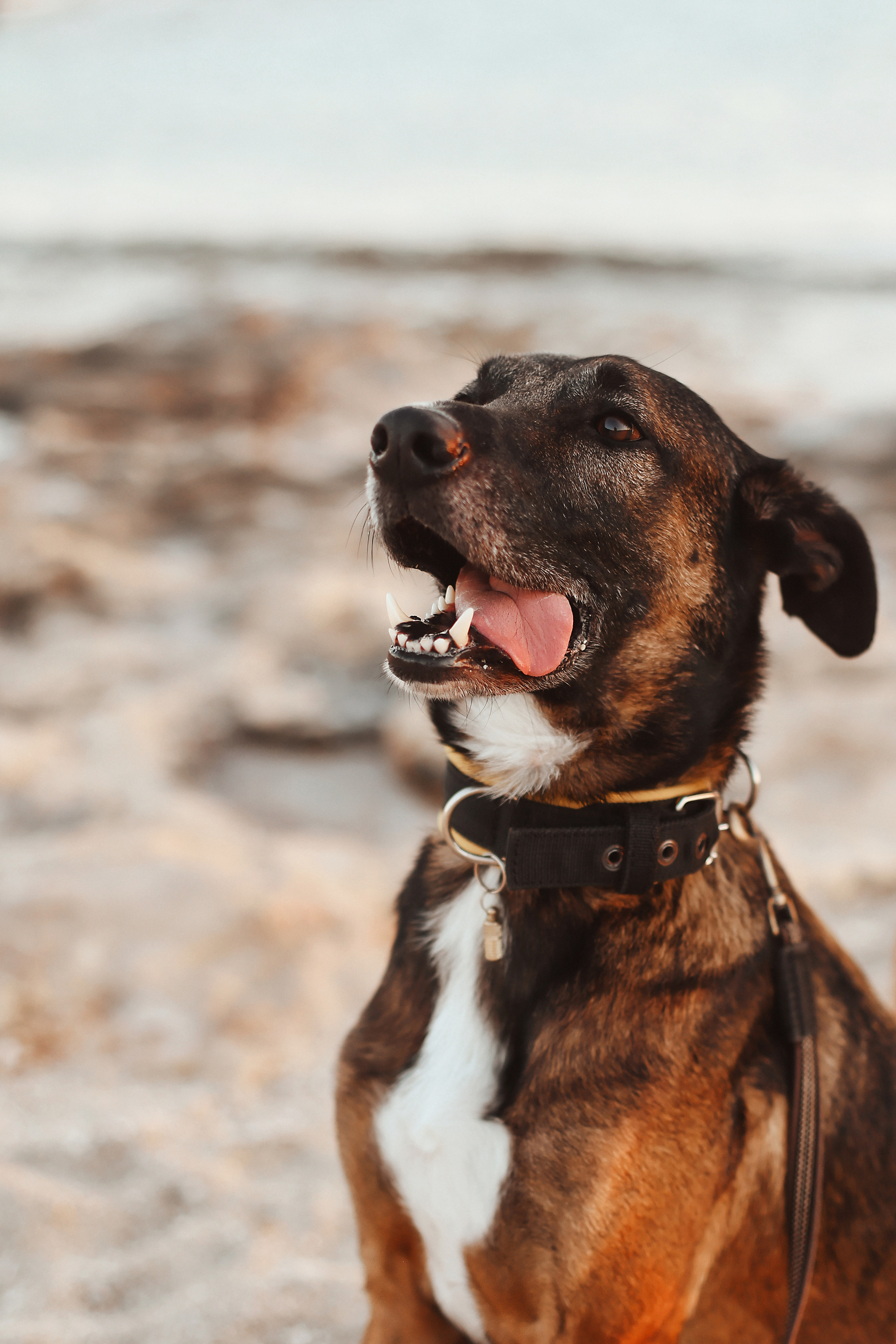 Photoshoot in Ayia Napa. October, 2022. Kipriotka. Ваш фотограф на Кипре (Айя-Напа, Протарас)