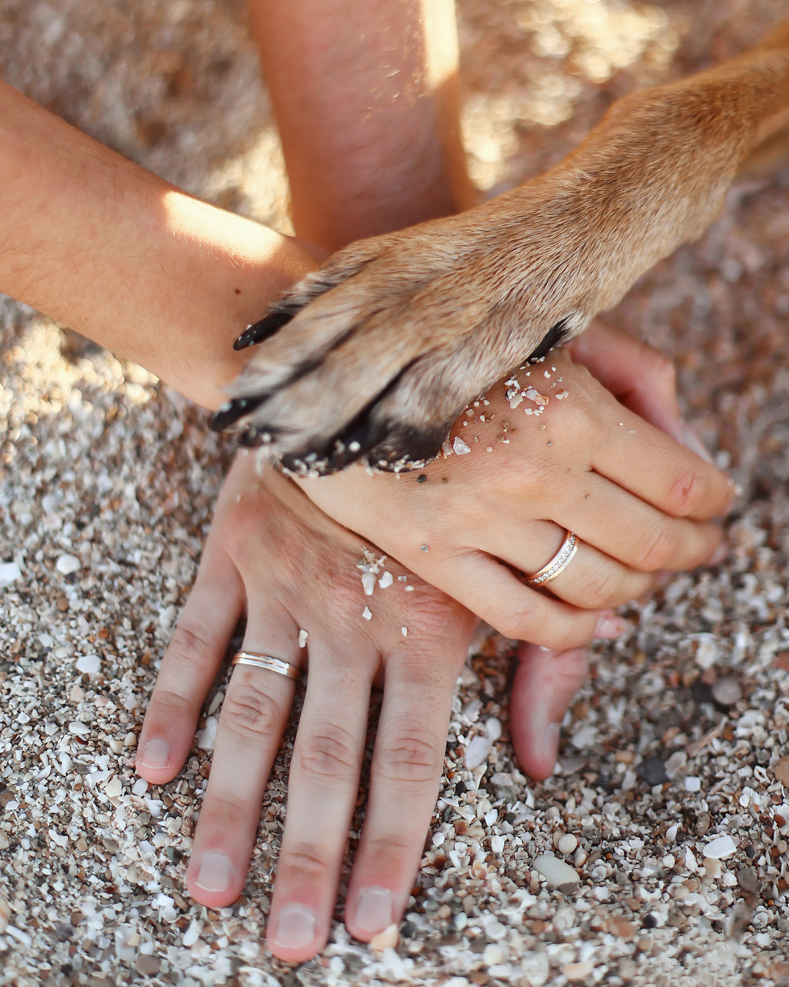 Photoshoot in Ayia Napa. October, 2022. Kipriotka. Ваш фотограф на Кипре (Айя-Напа, Протарас)