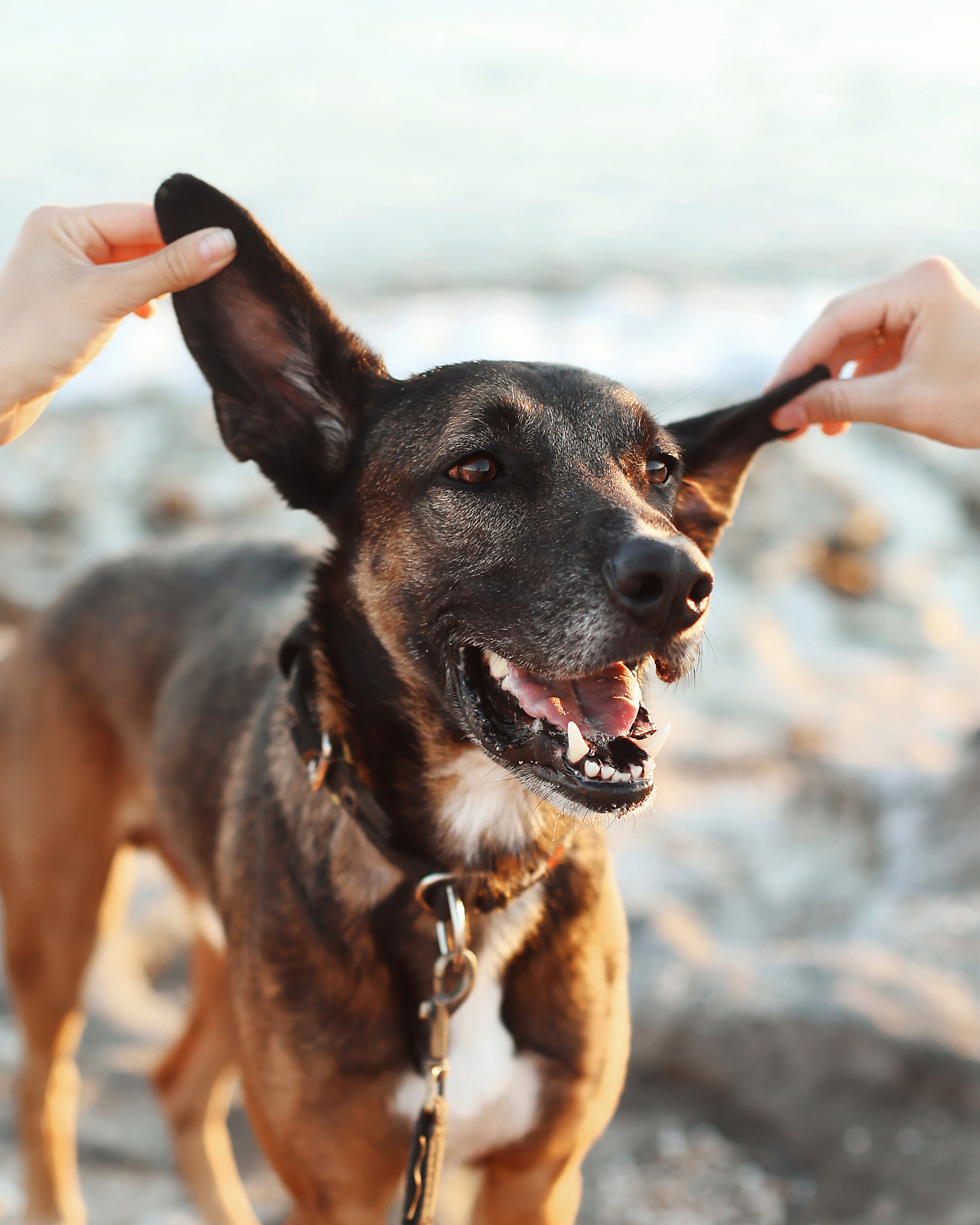 Photoshoot in Ayia Napa. October, 2022. Kipriotka. Ваш фотограф на Кипре (Айя-Напа, Протарас)