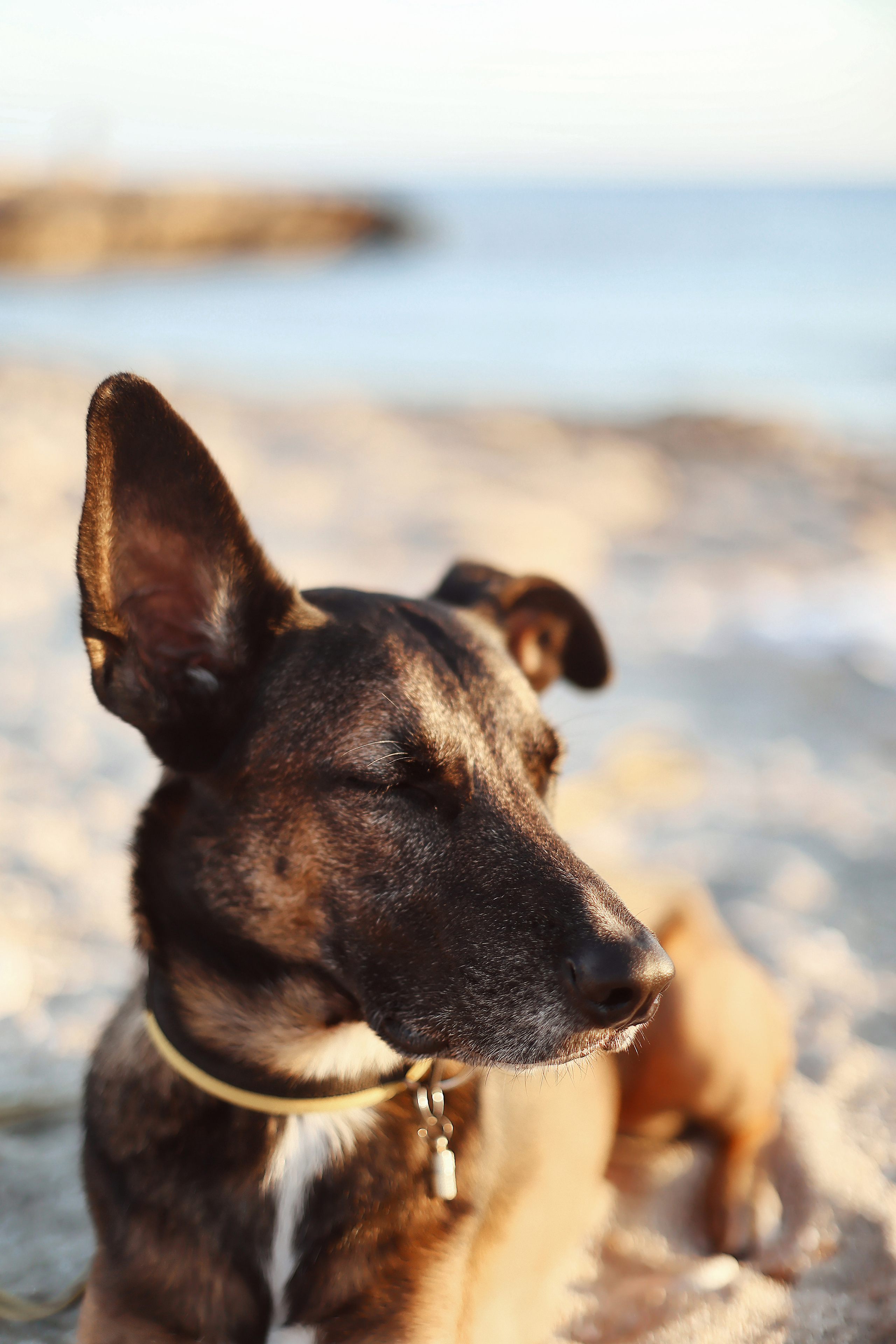 Photoshoot in Ayia Napa. October, 2022. Kipriotka. Ваш фотограф на Кипре (Айя-Напа, Протарас)