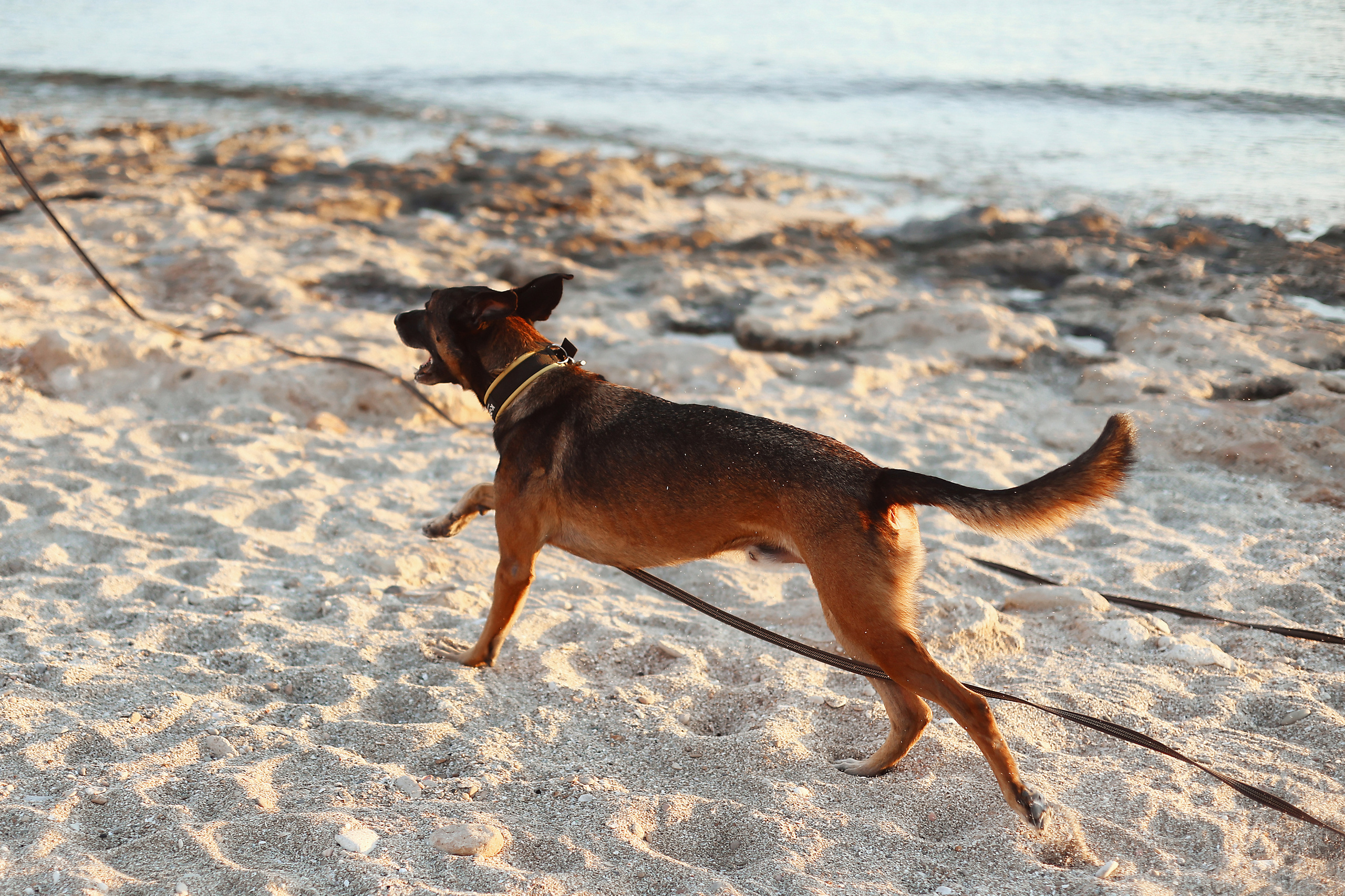 Photoshoot in Ayia Napa. October, 2022. Kipriotka. Ваш фотограф на Кипре (Айя-Напа, Протарас)
