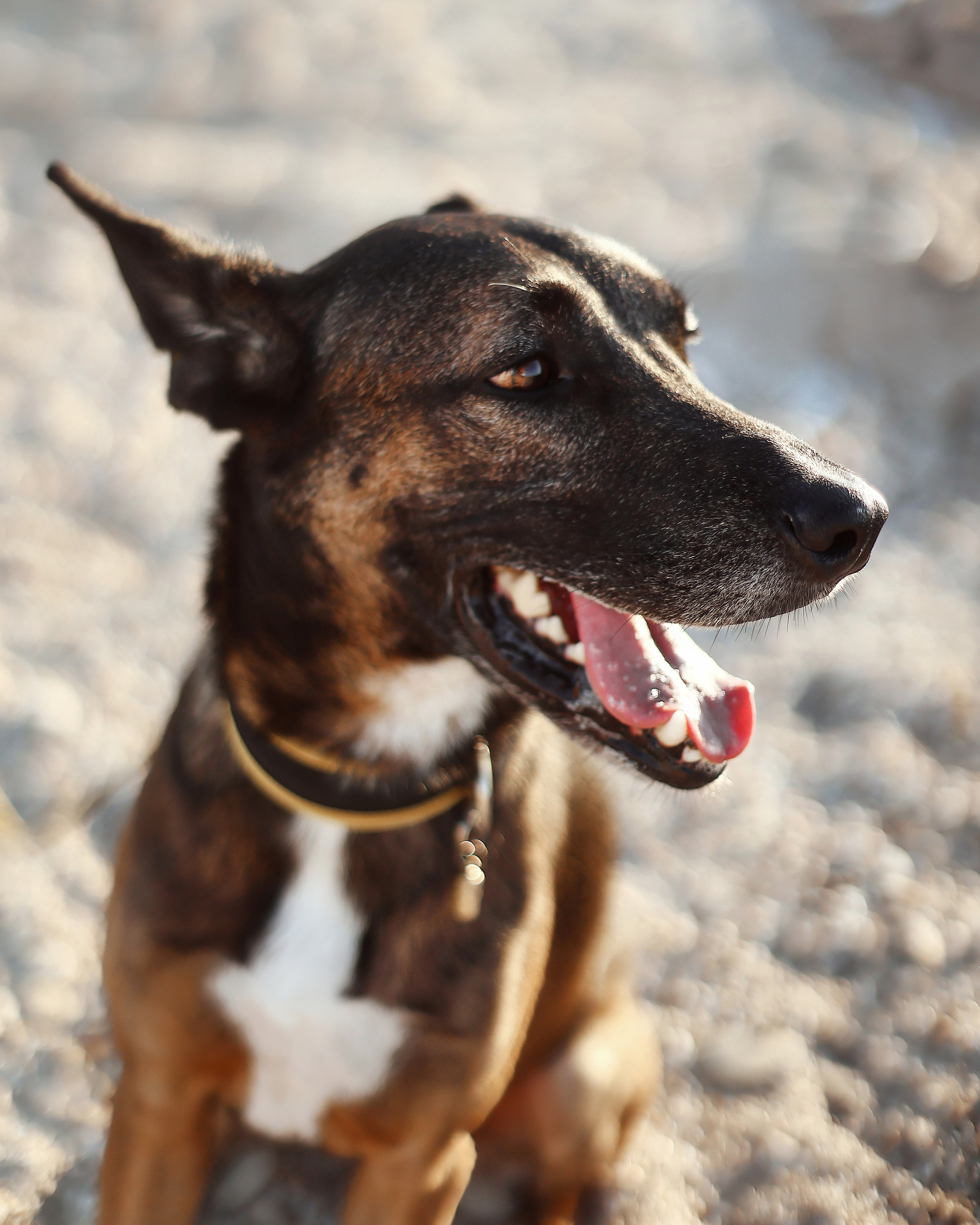 Photoshoot in Ayia Napa. October, 2022. Kipriotka. Ваш фотограф на Кипре (Айя-Напа, Протарас)