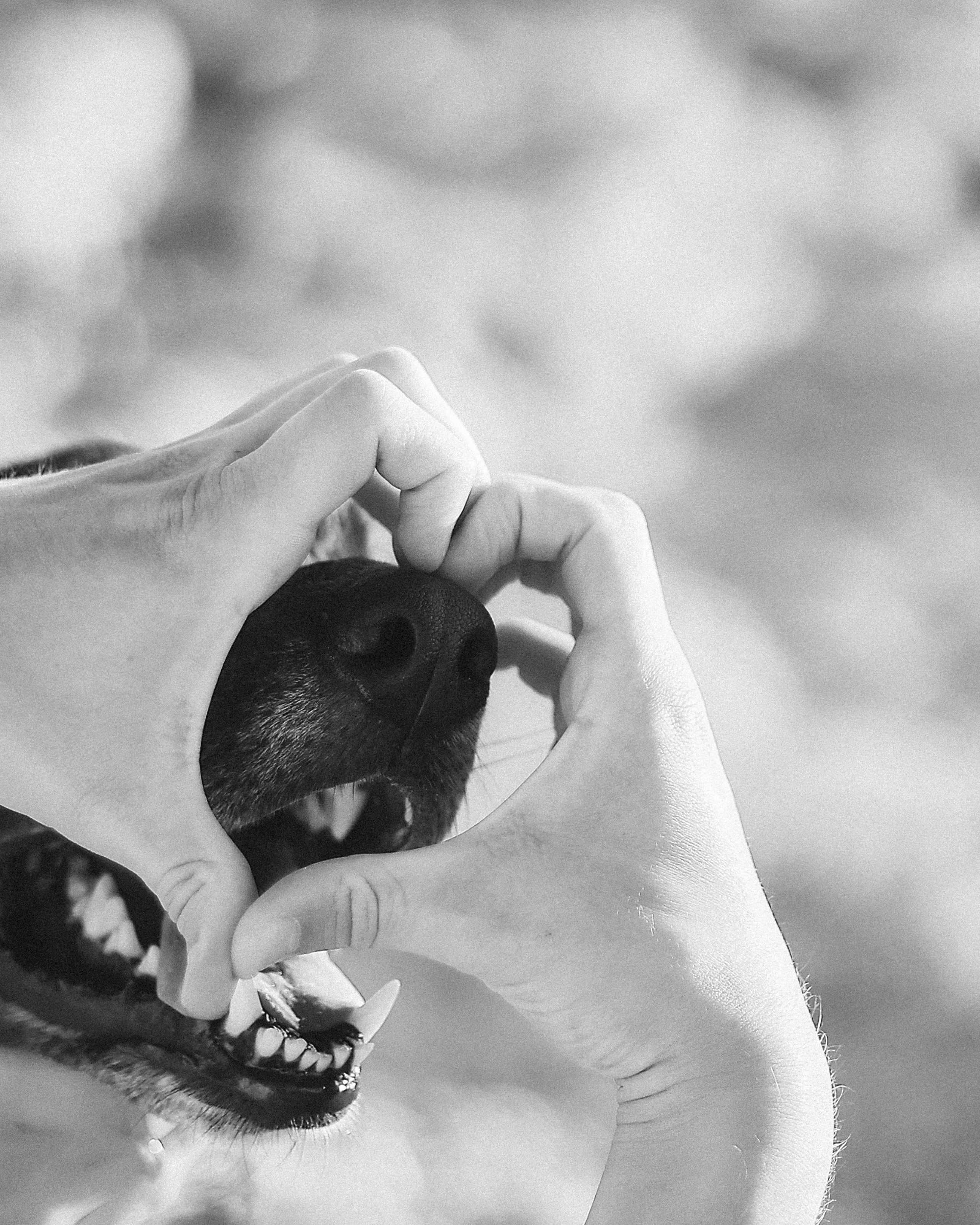 Photoshoot in Ayia Napa. October, 2022. Kipriotka. Ваш фотограф на Кипре (Айя-Напа, Протарас)