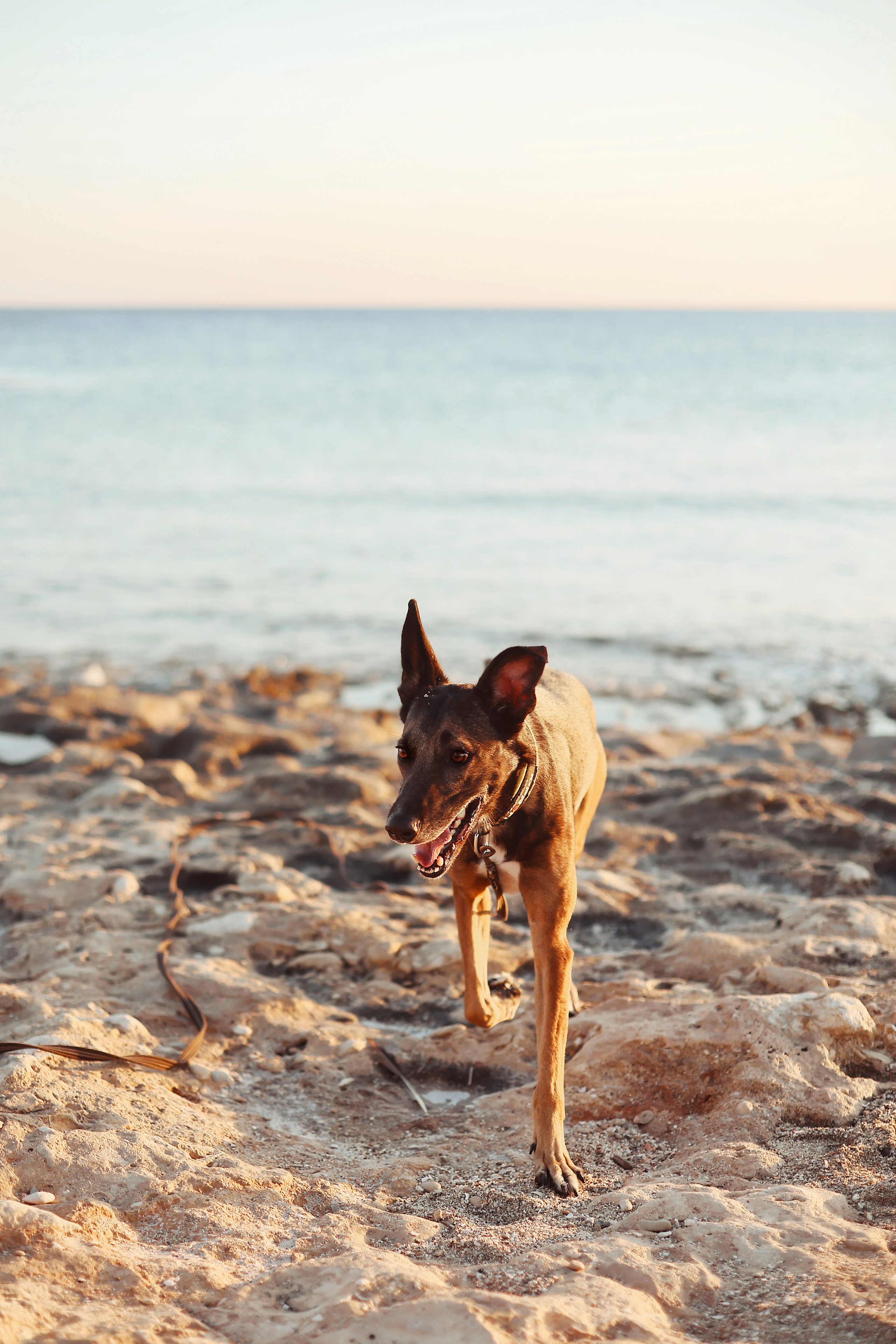 Photoshoot in Ayia Napa. October, 2022. Kipriotka. Ваш фотограф на Кипре (Айя-Напа, Протарас)