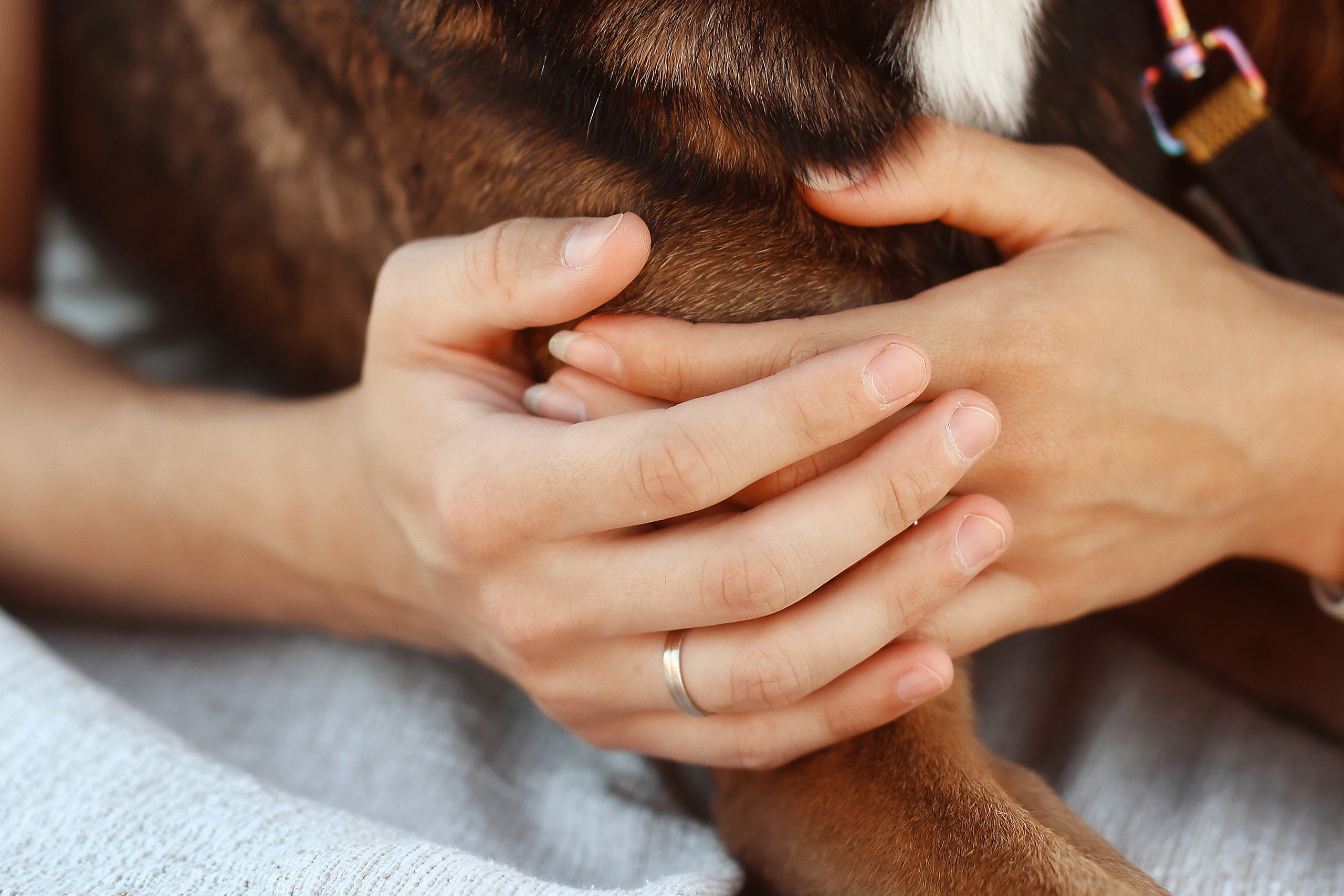 Photoshoot in Ayia Napa. October, 2022. Kipriotka. Ваш фотограф на Кипре (Айя-Напа, Протарас)