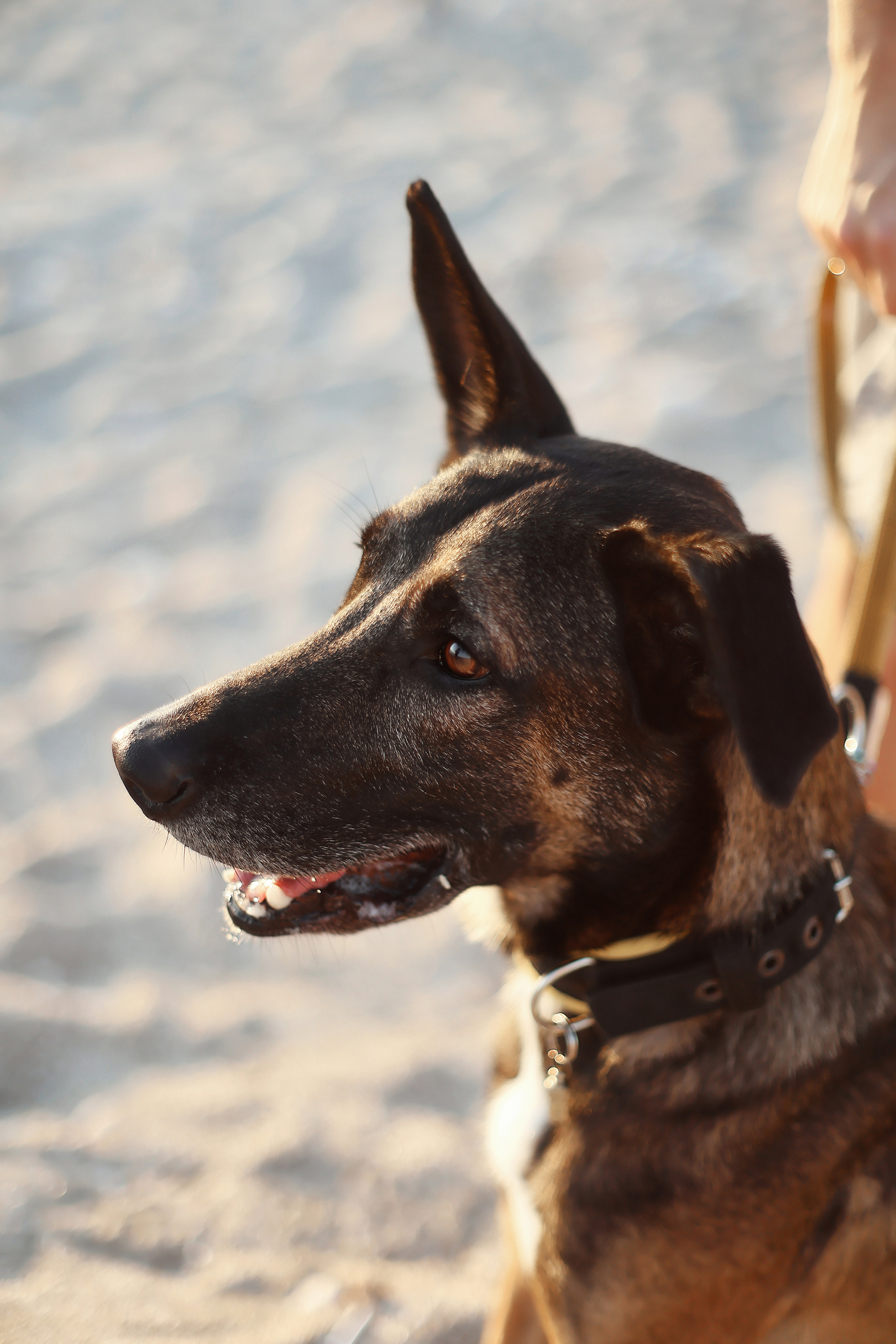 Photoshoot in Ayia Napa. October, 2022. Kipriotka. Ваш фотограф на Кипре (Айя-Напа, Протарас)