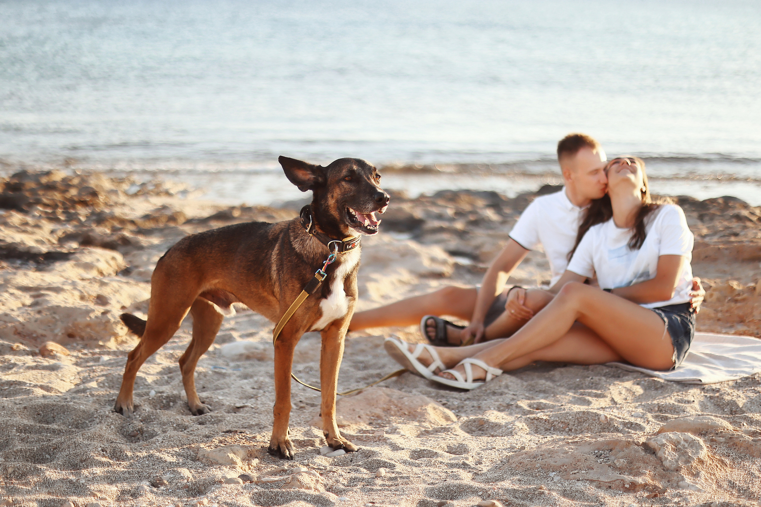 Photoshoot in Ayia Napa. October, 2022. Kipriotka. Ваш фотограф на Кипре (Айя-Напа, Протарас)