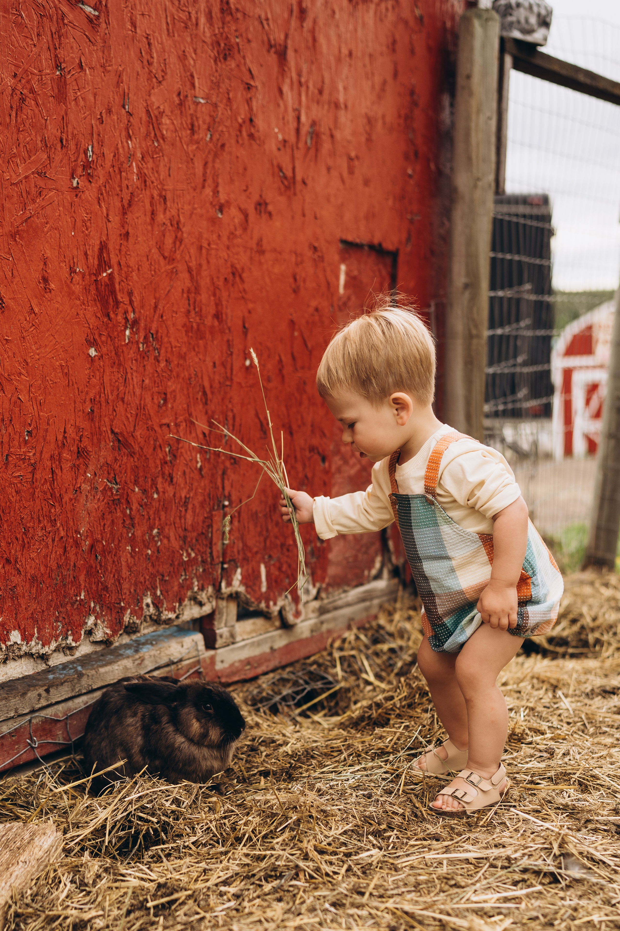 Lev. Calgary Wedding & Lifestyle Photographer — Yevhen Polishchuk