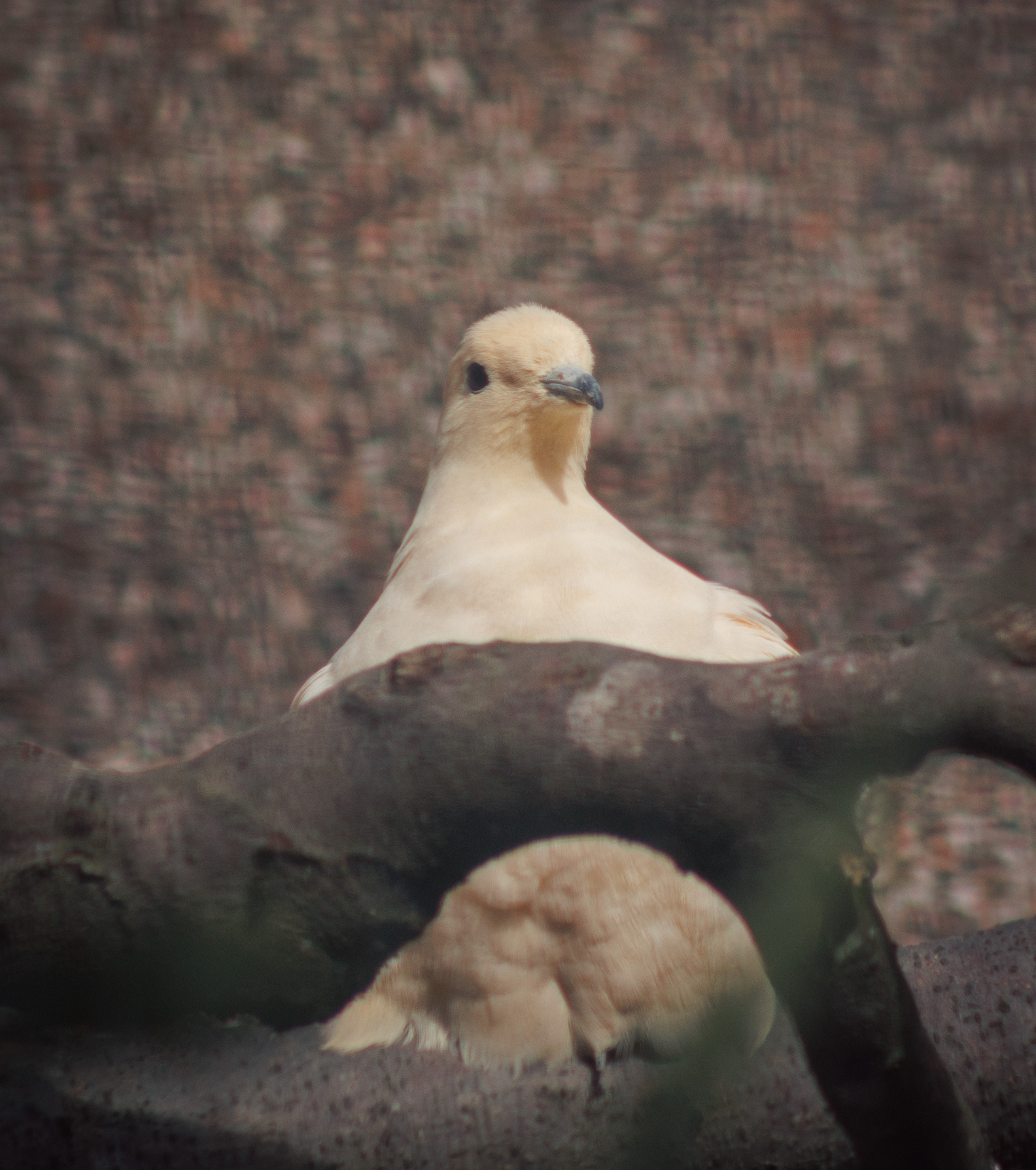 Nature. Portrait and Street photographer in Vilnius Edgar Shaipunas