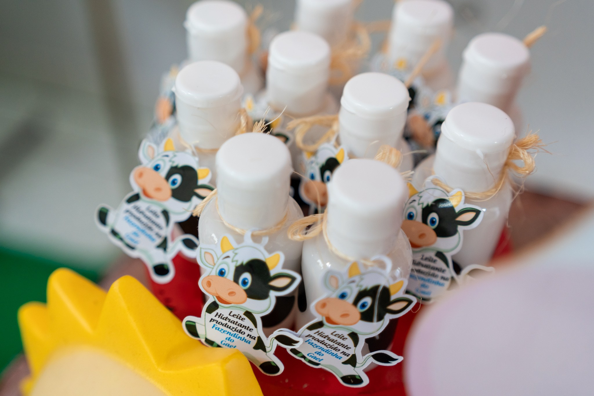 Gael 1 ano — 21/12/2024. Luiz Medeiros Produções