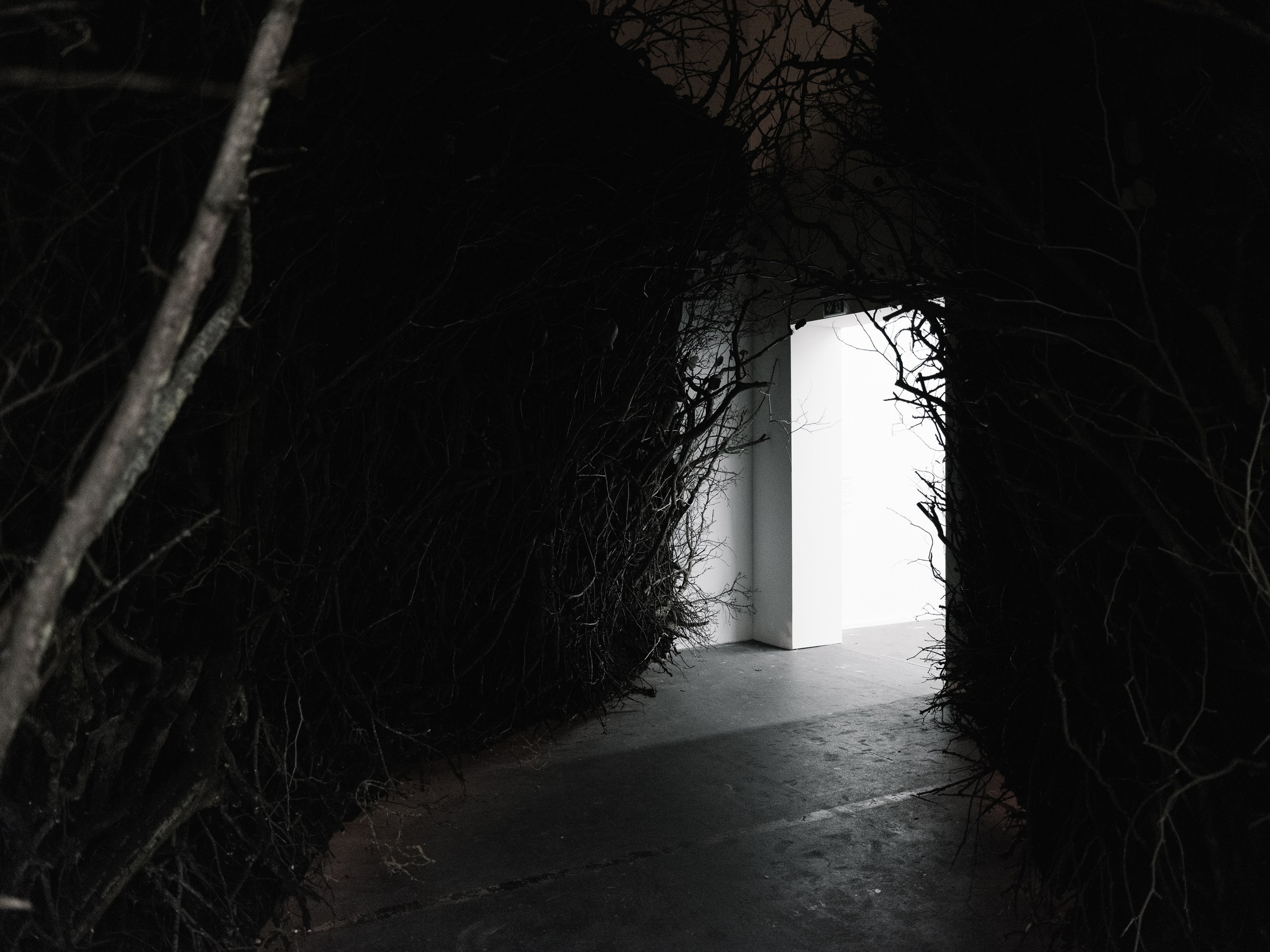 An Opera. Photographer Viktor Nikishov