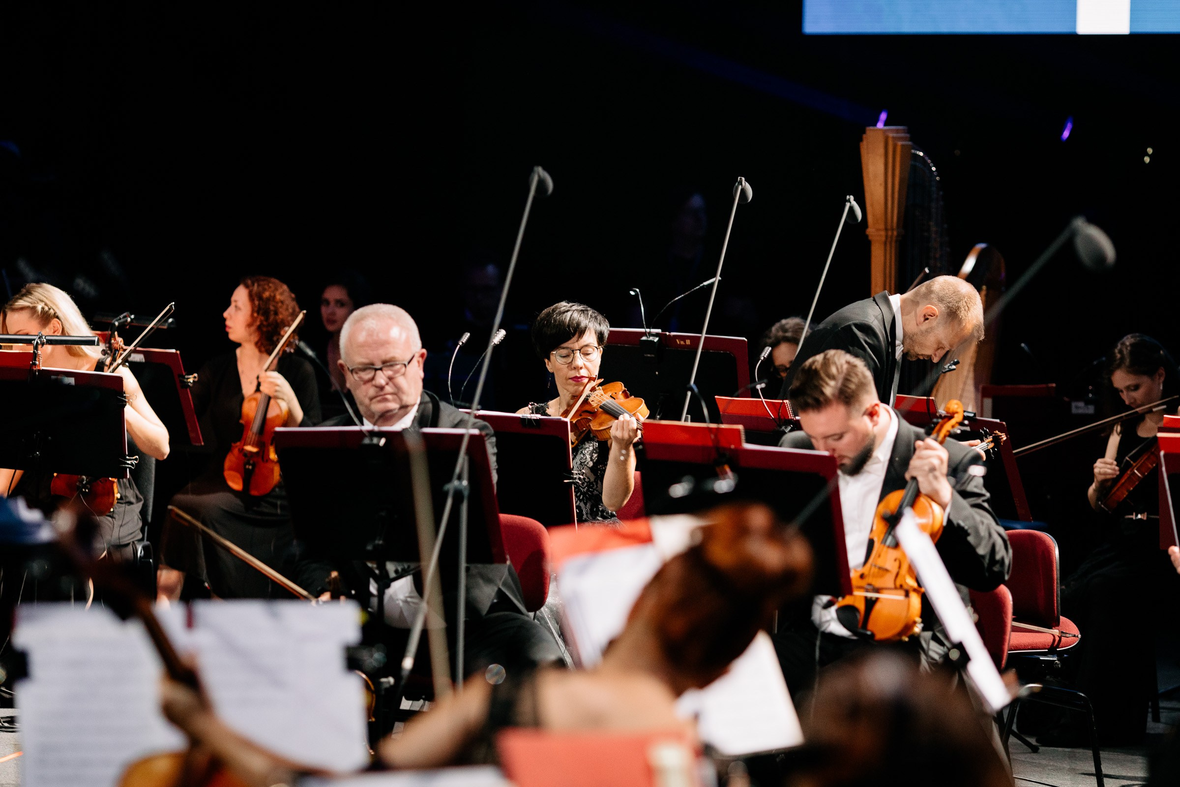 Opera Leśna Koncert. Fotograf Ślubny Warszawa - Sesje Biznesowe Rodzinne Eventy