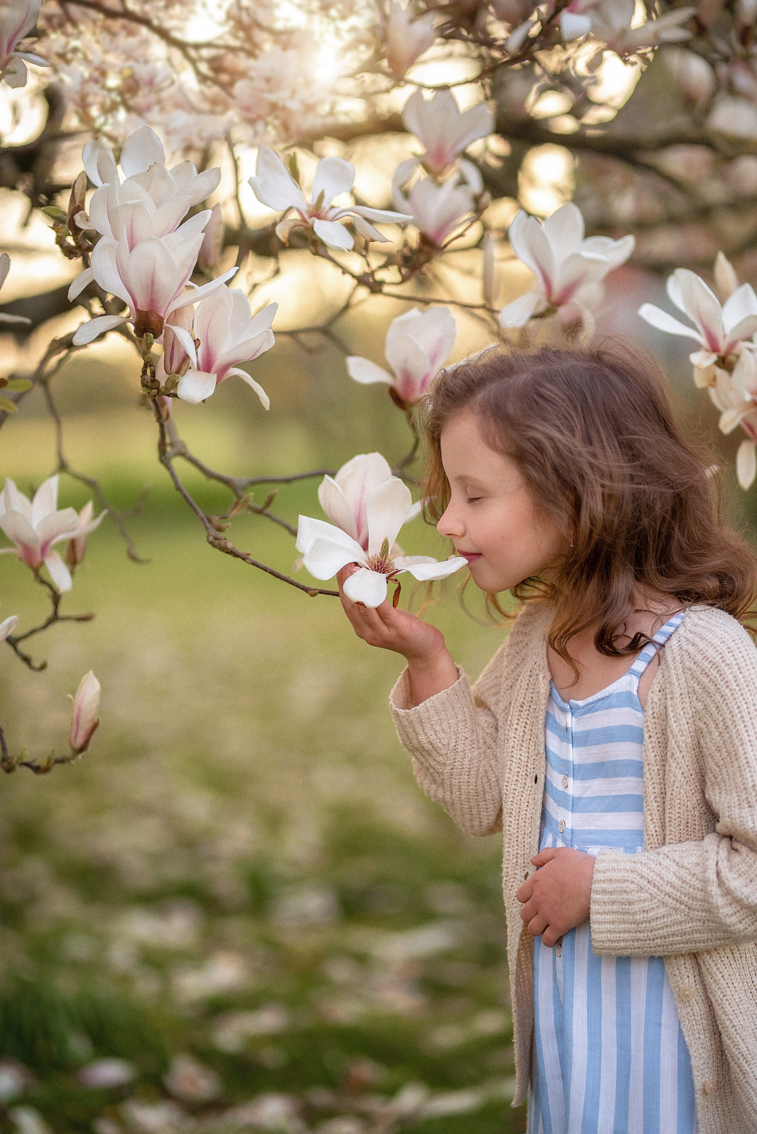 Fotoshooting in Magnolie. Familienfotograf, Hochzeitsfotograf in Hamburg und Umgebung
