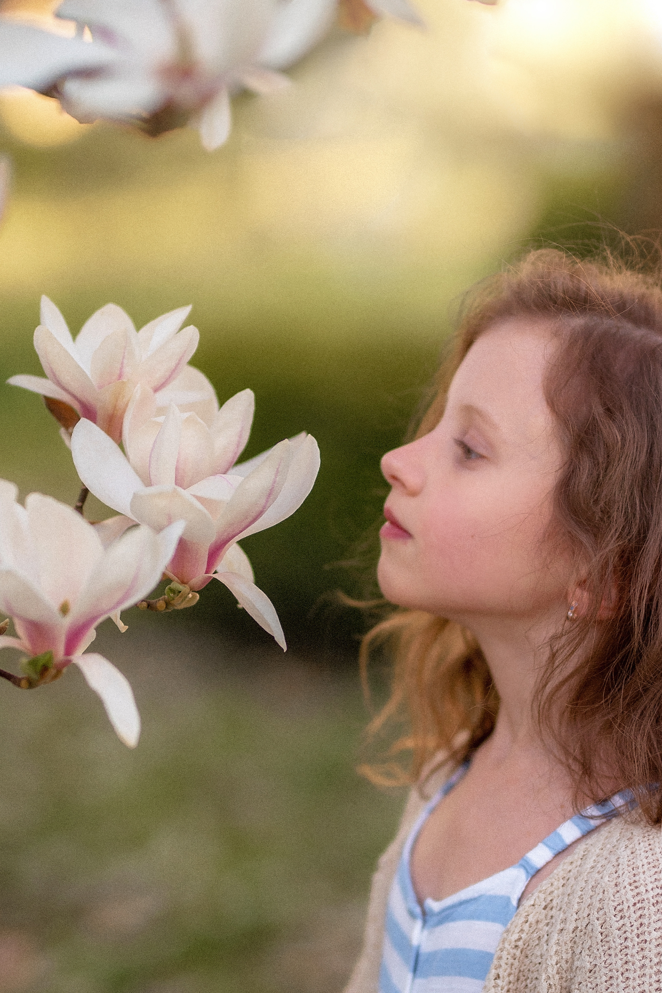 Fotoshooting in Magnolie. Familienfotograf, Hochzeitsfotograf in Hamburg und Umgebung