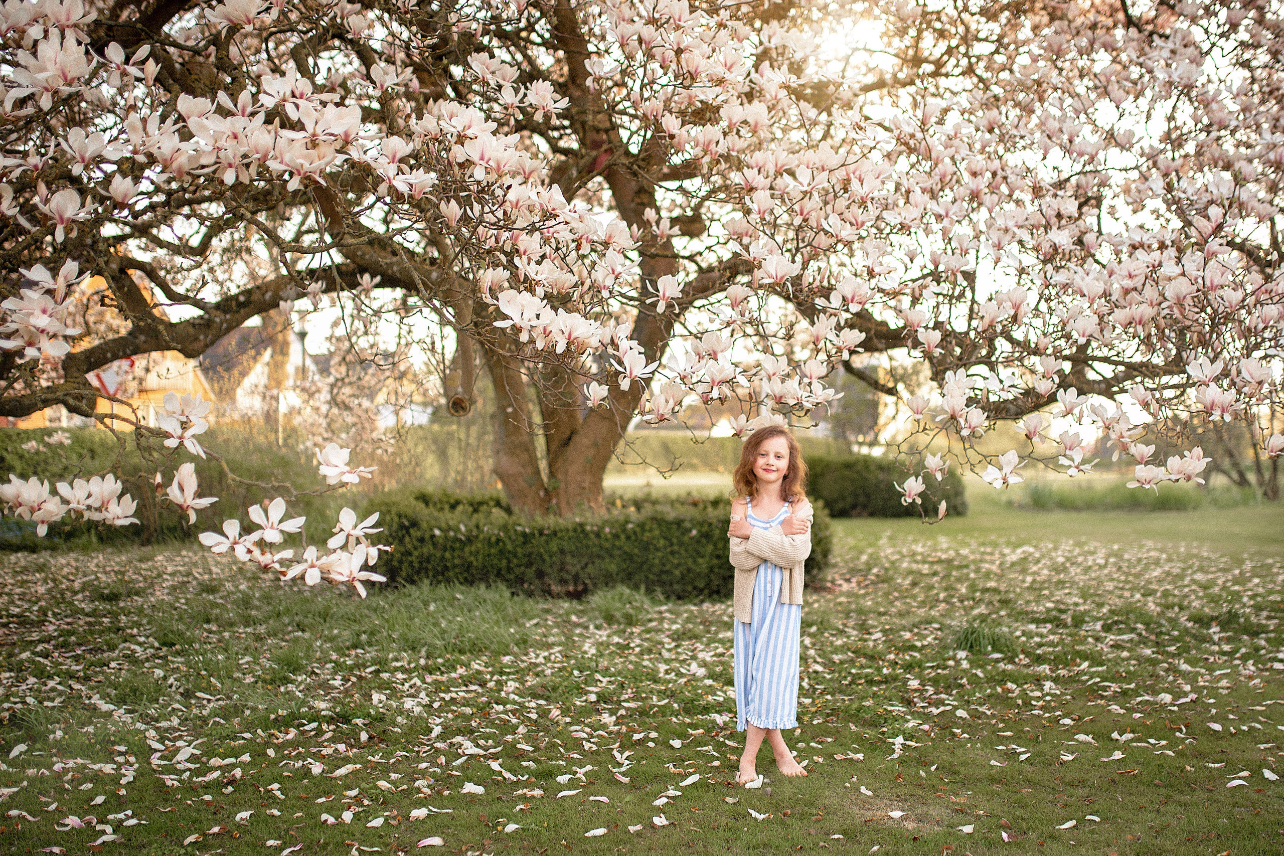 Fotoshooting in Magnolie. Familienfotograf, Hochzeitsfotograf in Hamburg und Umgebung