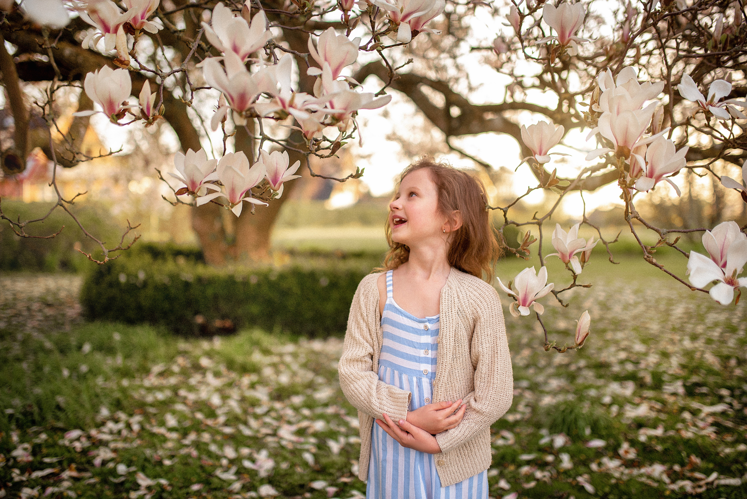 Fotoshooting in Magnolie. Familienfotograf, Hochzeitsfotograf in Hamburg und Umgebung