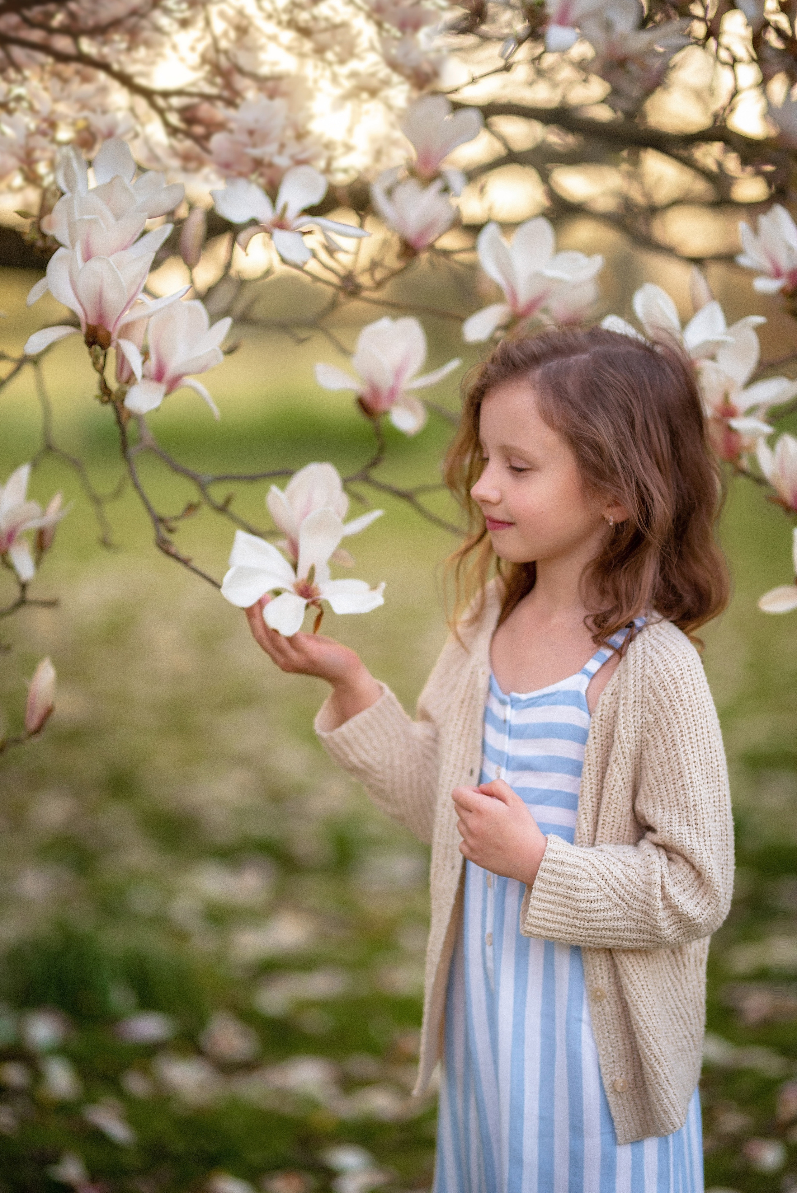 Fotoshooting in Magnolie. Familienfotograf, Hochzeitsfotograf in Hamburg und Umgebung