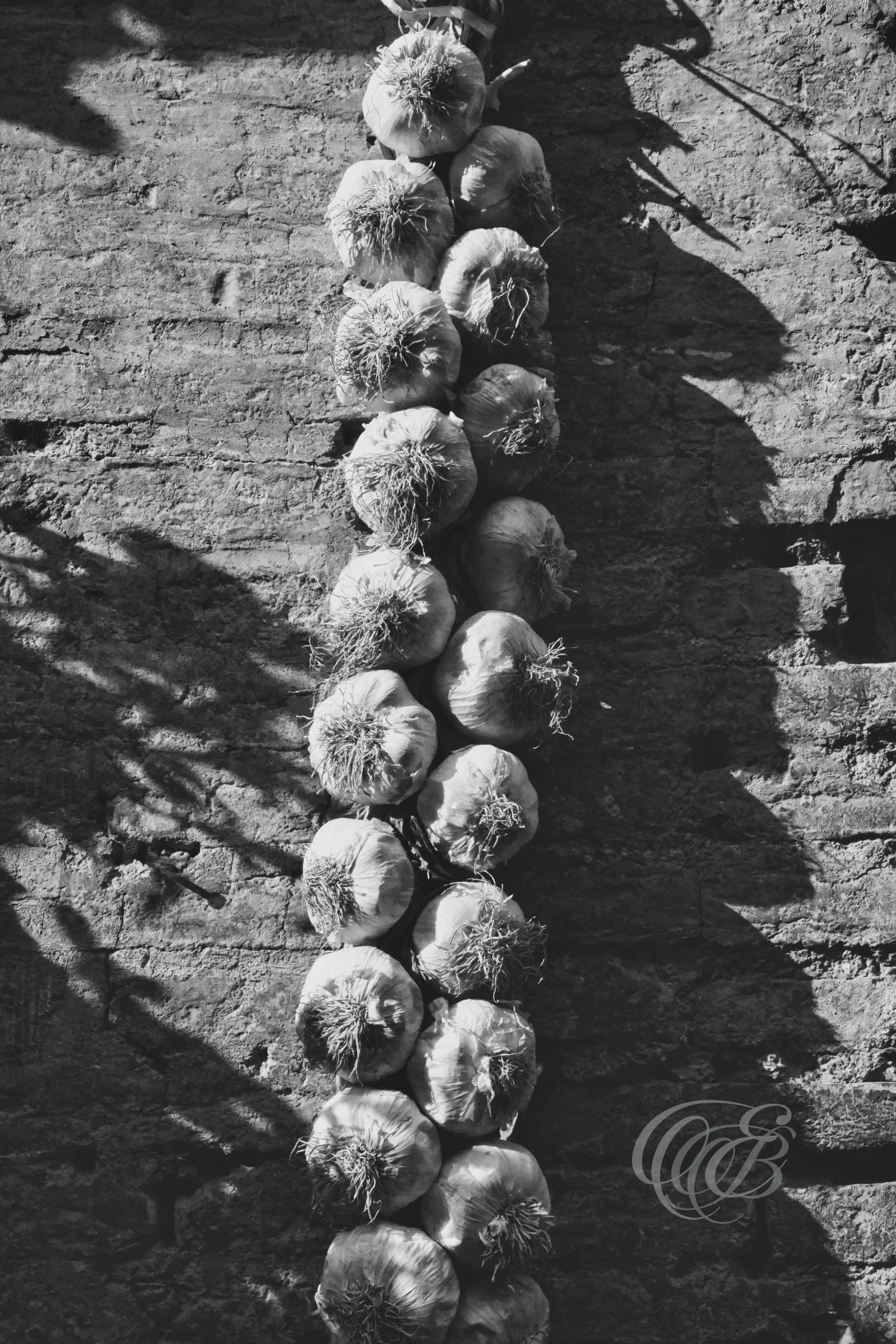 Rome Italy - Roman Garlic - Eduardo Bartoli Fine Art Photography - Black and white matte fine art photograph of a garlic braid on an old brick wall in Rome, Italy – photography by Eduardo Bartoli.